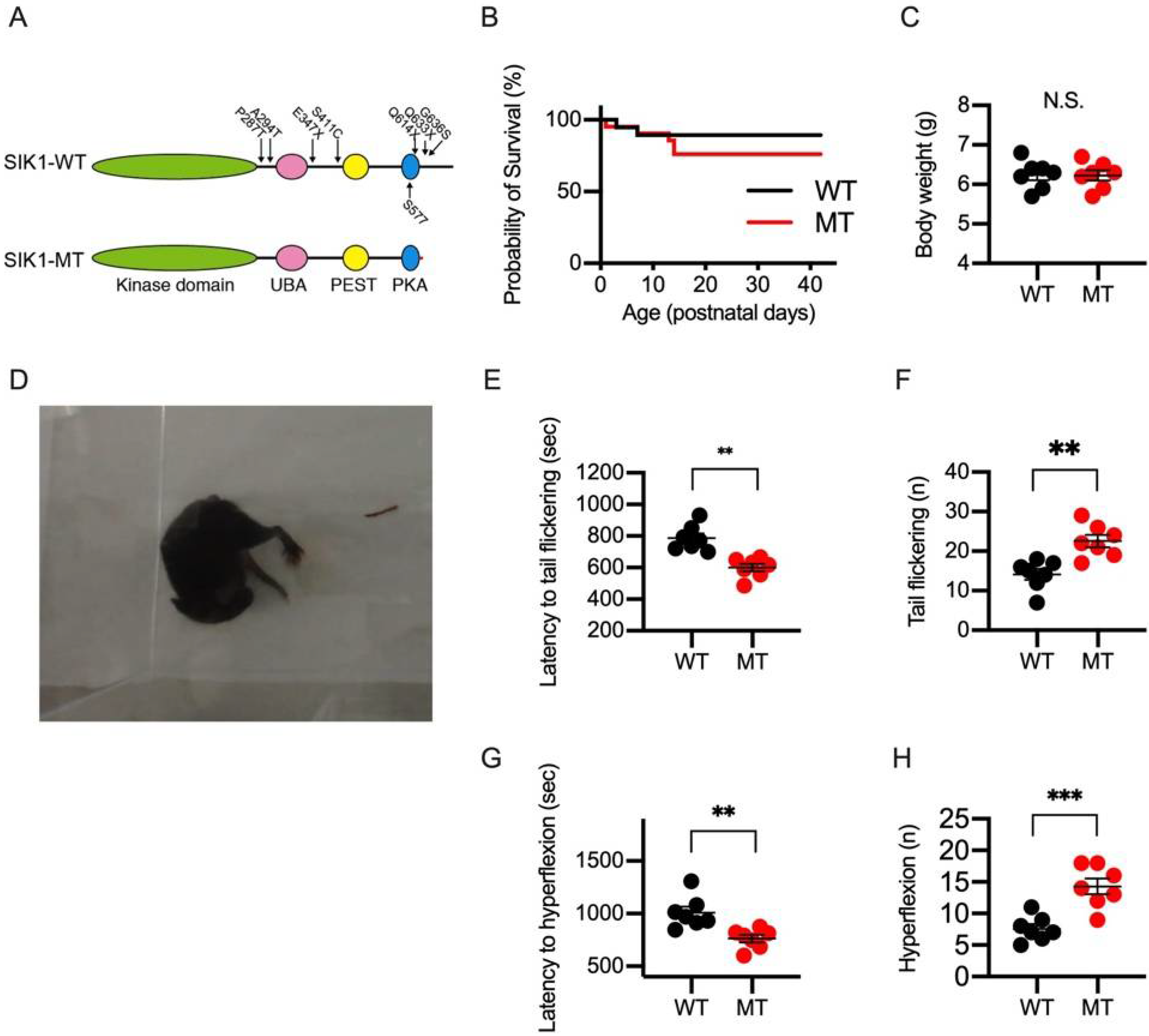 Ijms 23 07927 g001 550