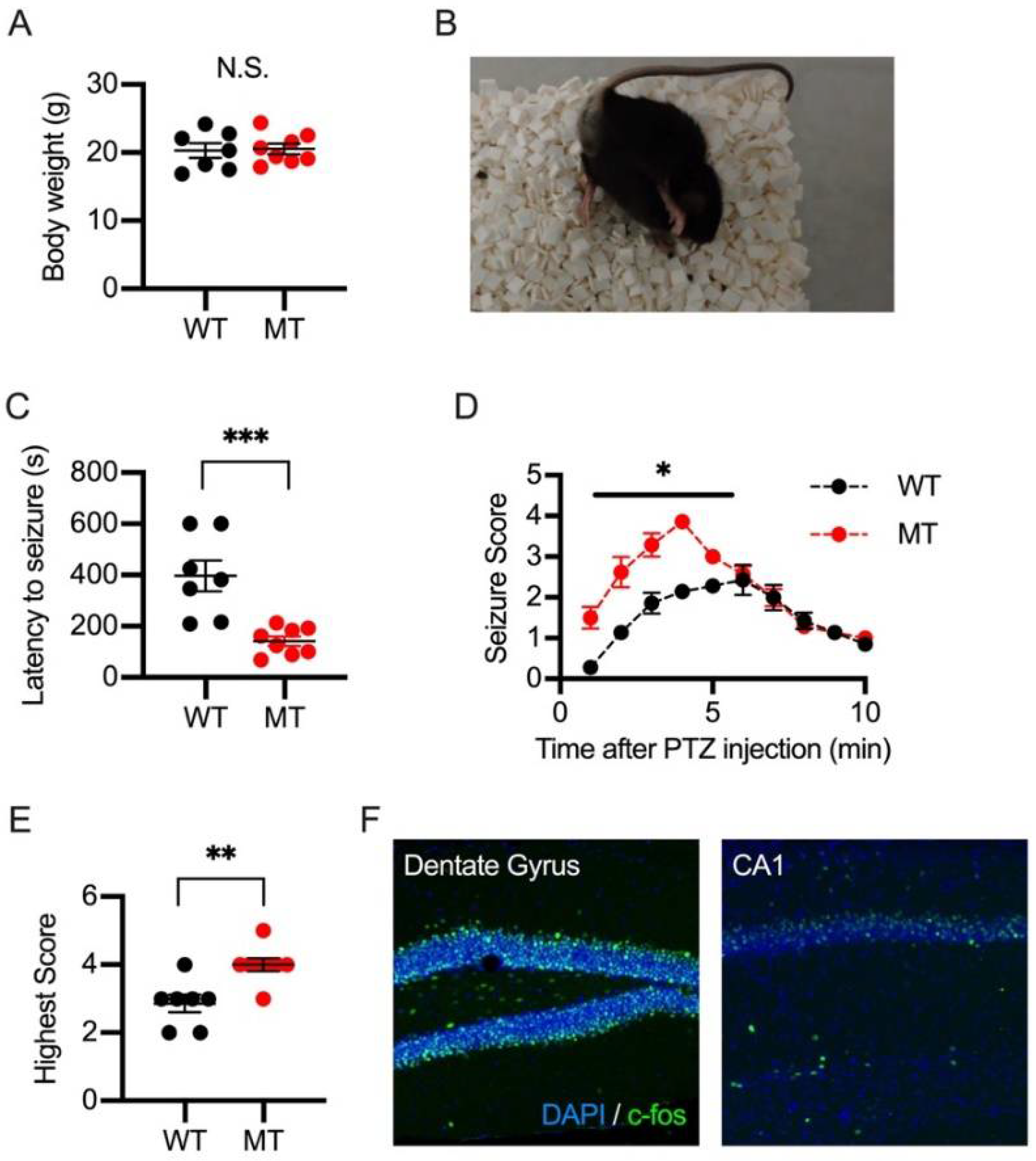 Ijms 23 07927 g006 550