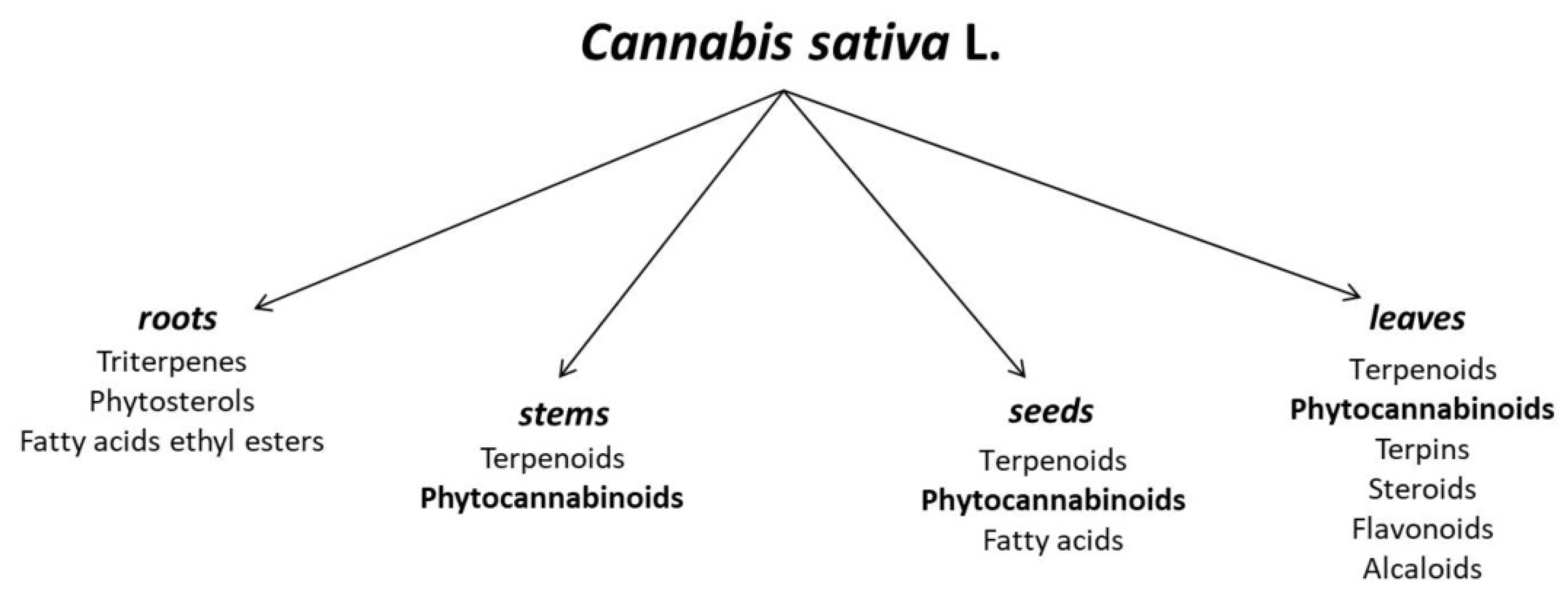 Ijms 23 07929 g001 550