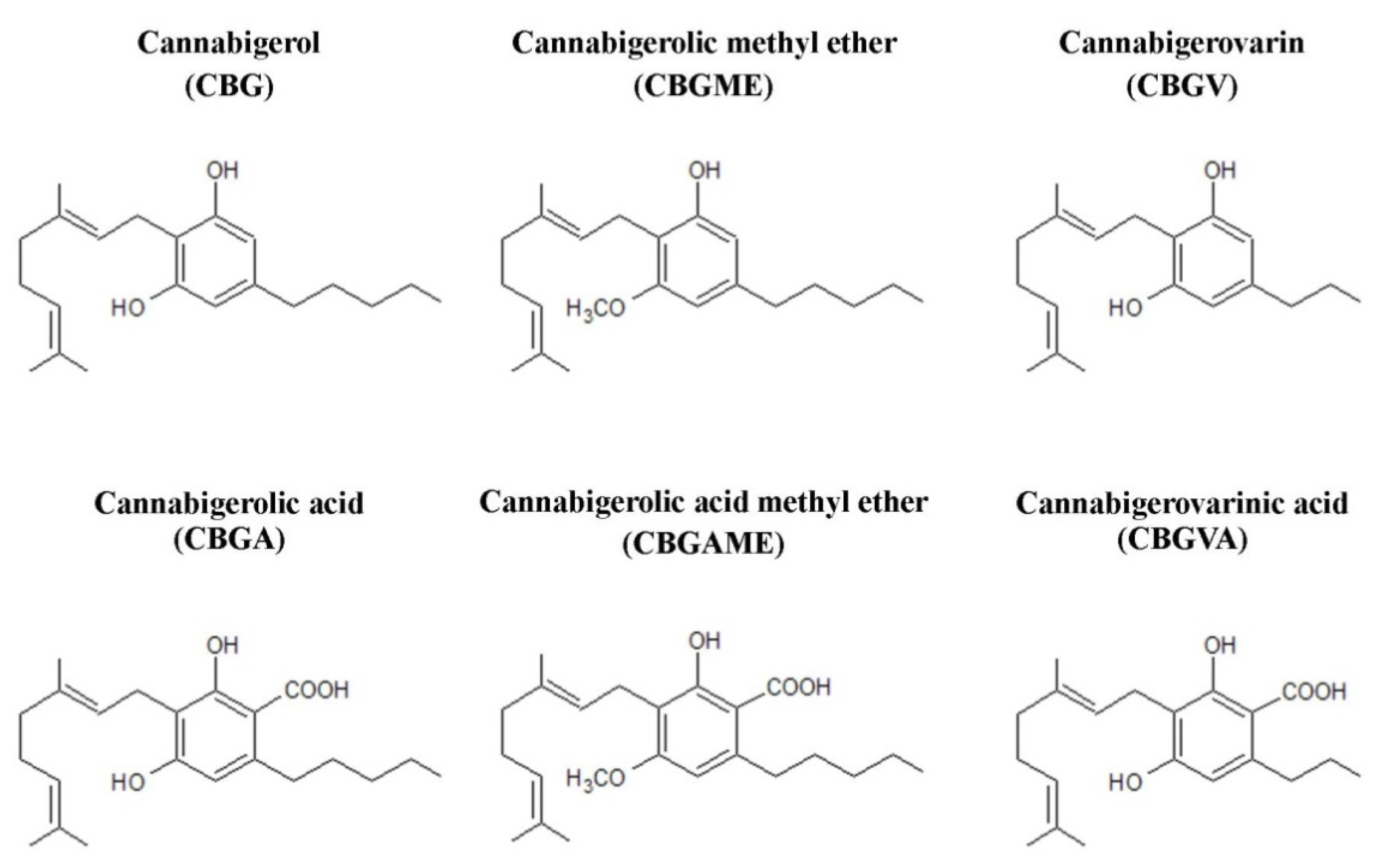 Ijms 23 07929 g002 550
