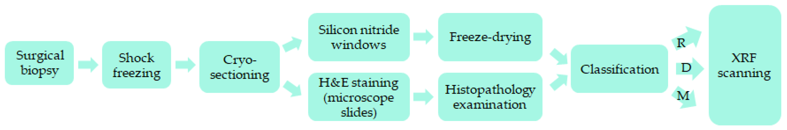 Ijms 23 07931 g005 550