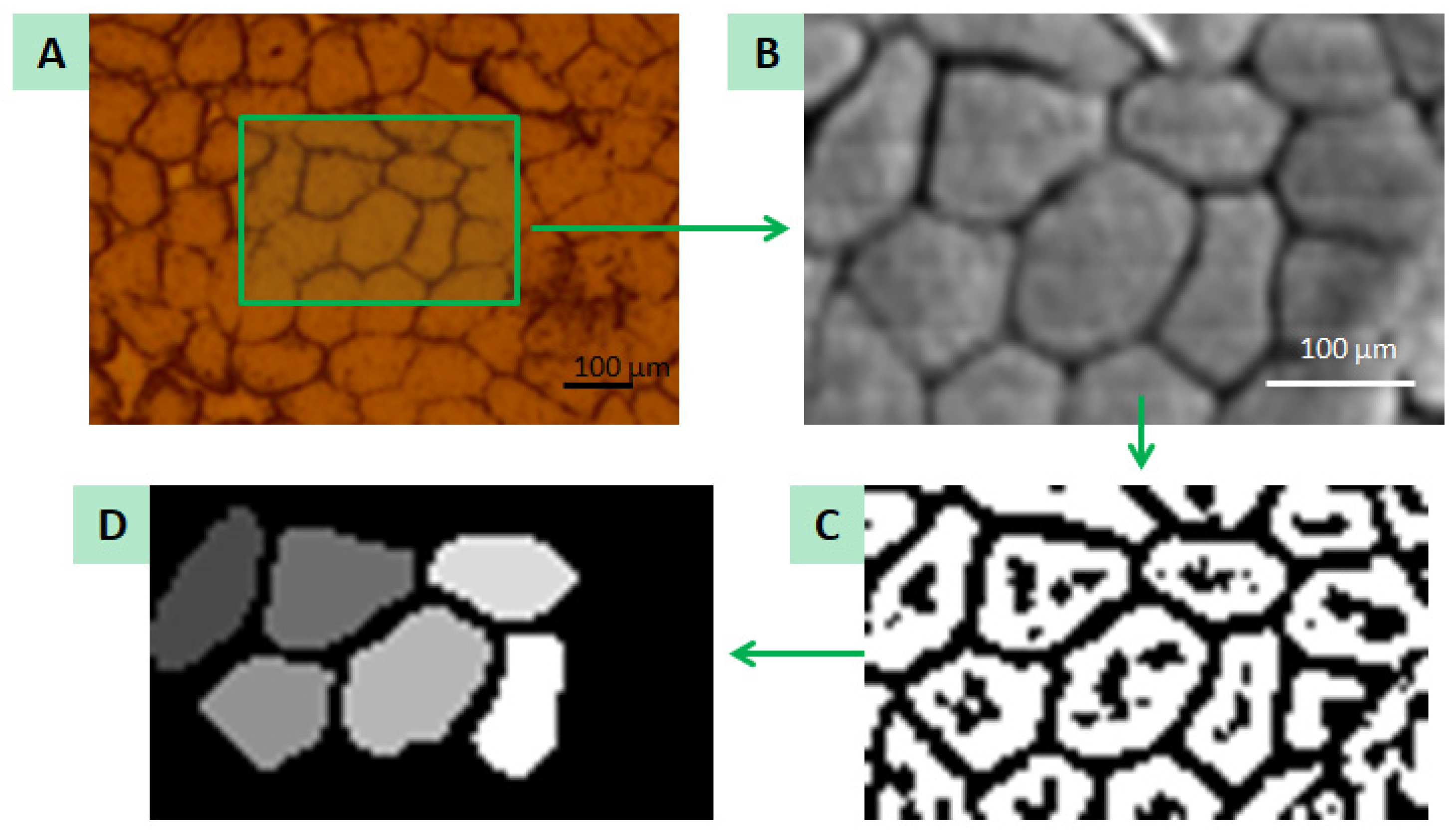 Ijms 23 07931 g008 550