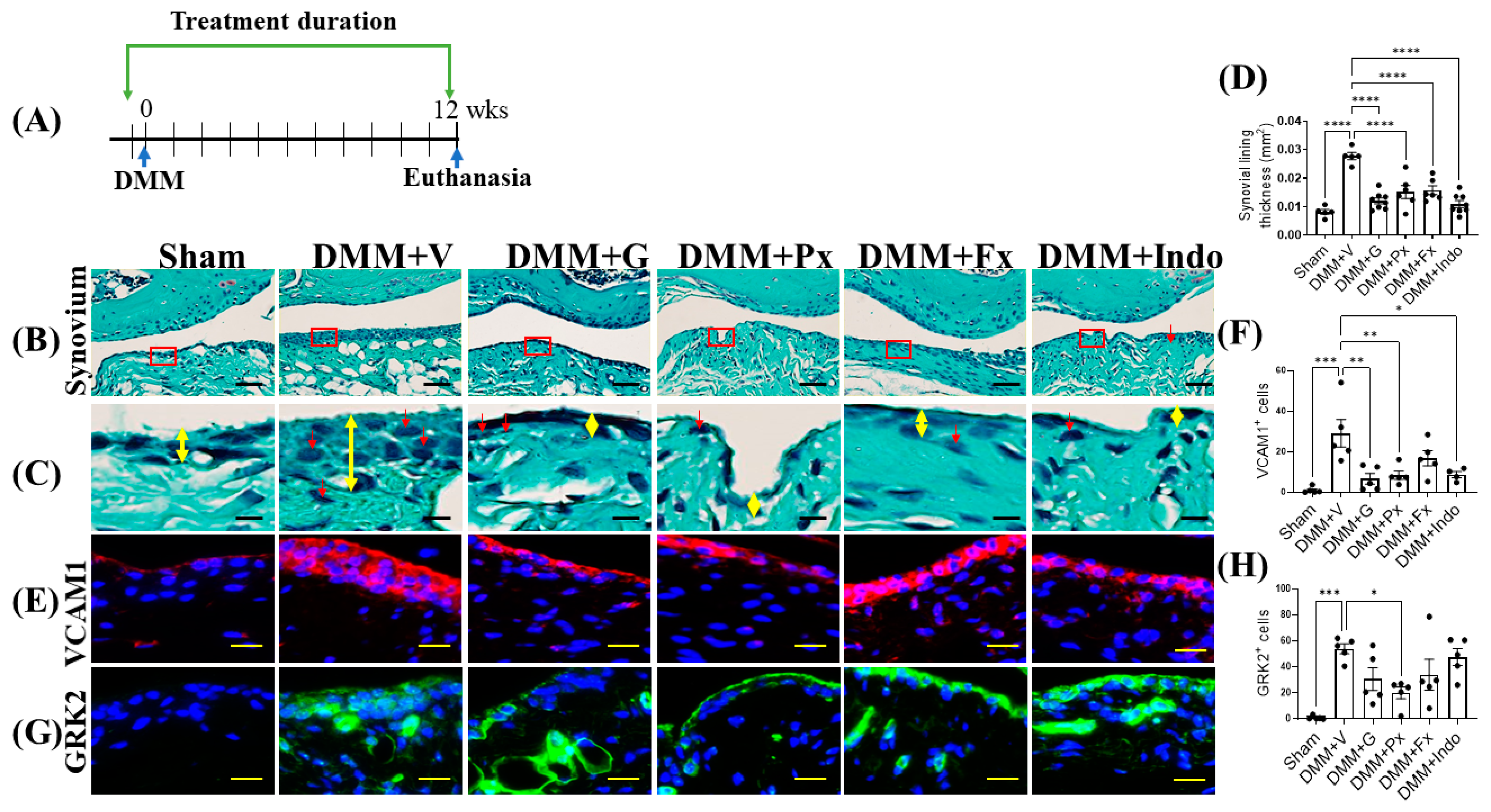 Ijms 23 07933 g004 Ijms 23 07933 g004