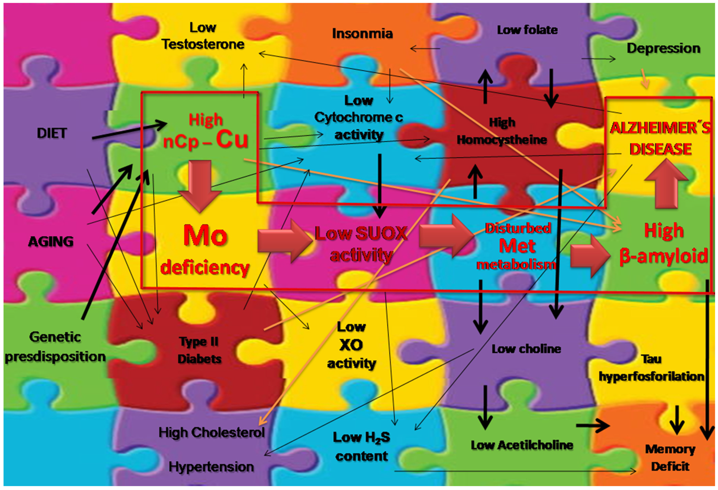 Ijms 23 07935 g002 Ijms 23 07935 g002