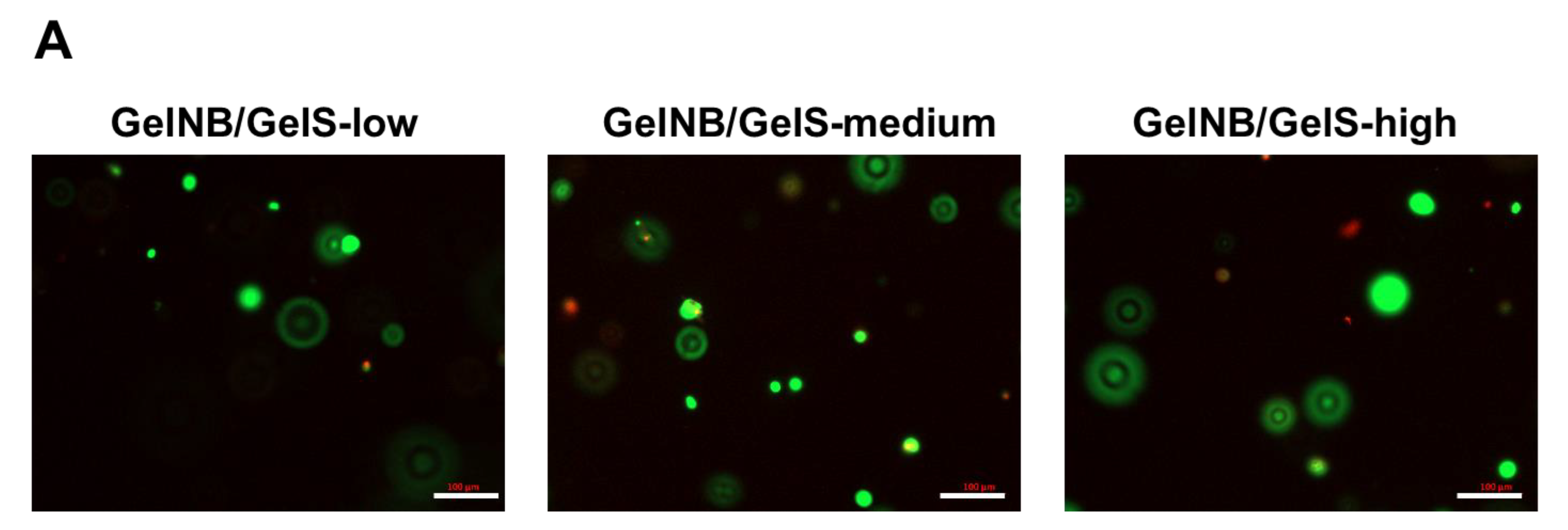 Ijms 23 07939 g002a 550