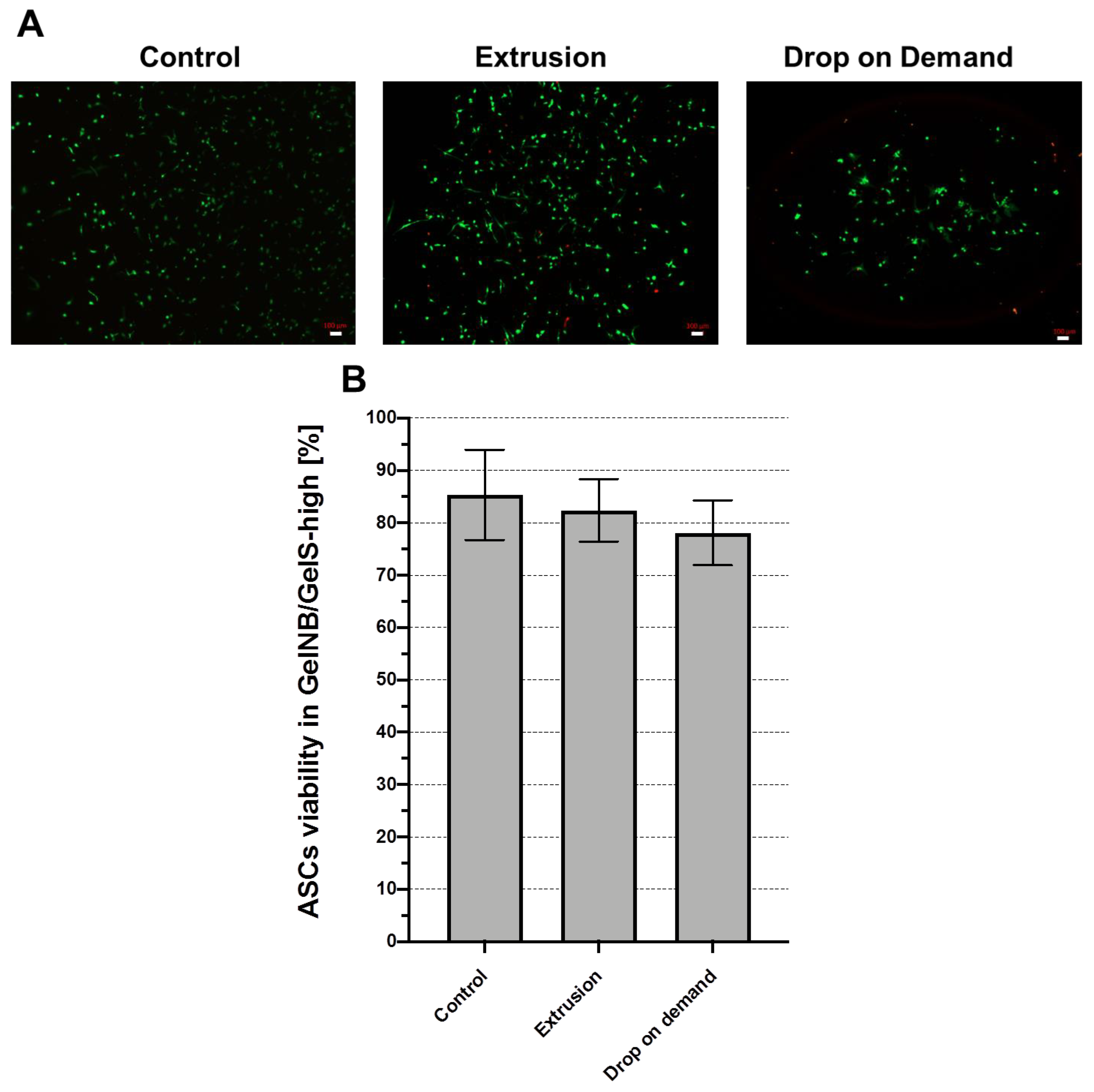 Ijms 23 07939 g005a 550