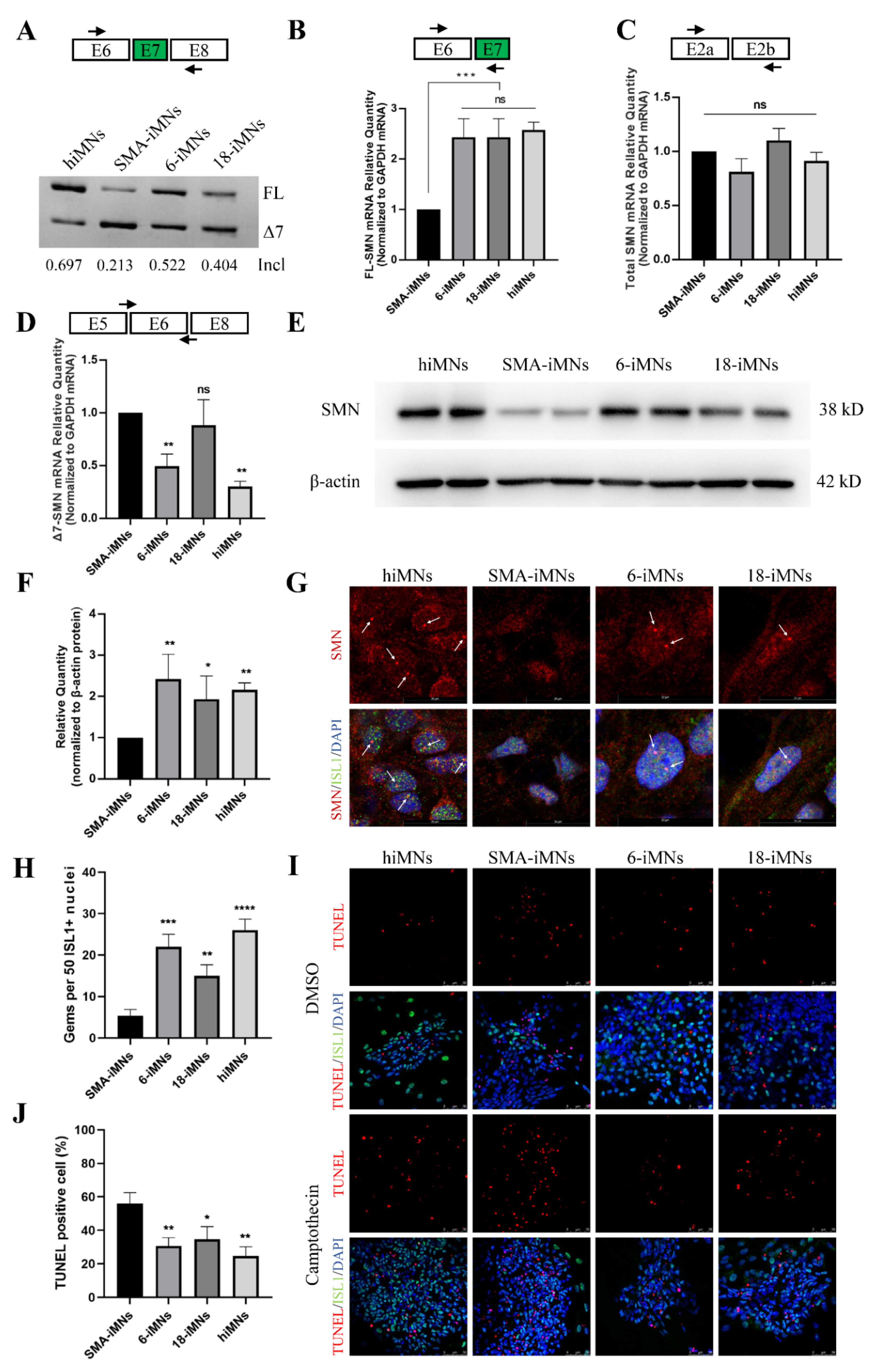 Ijms 23 07941 g005 Ijms 23 07941 g005