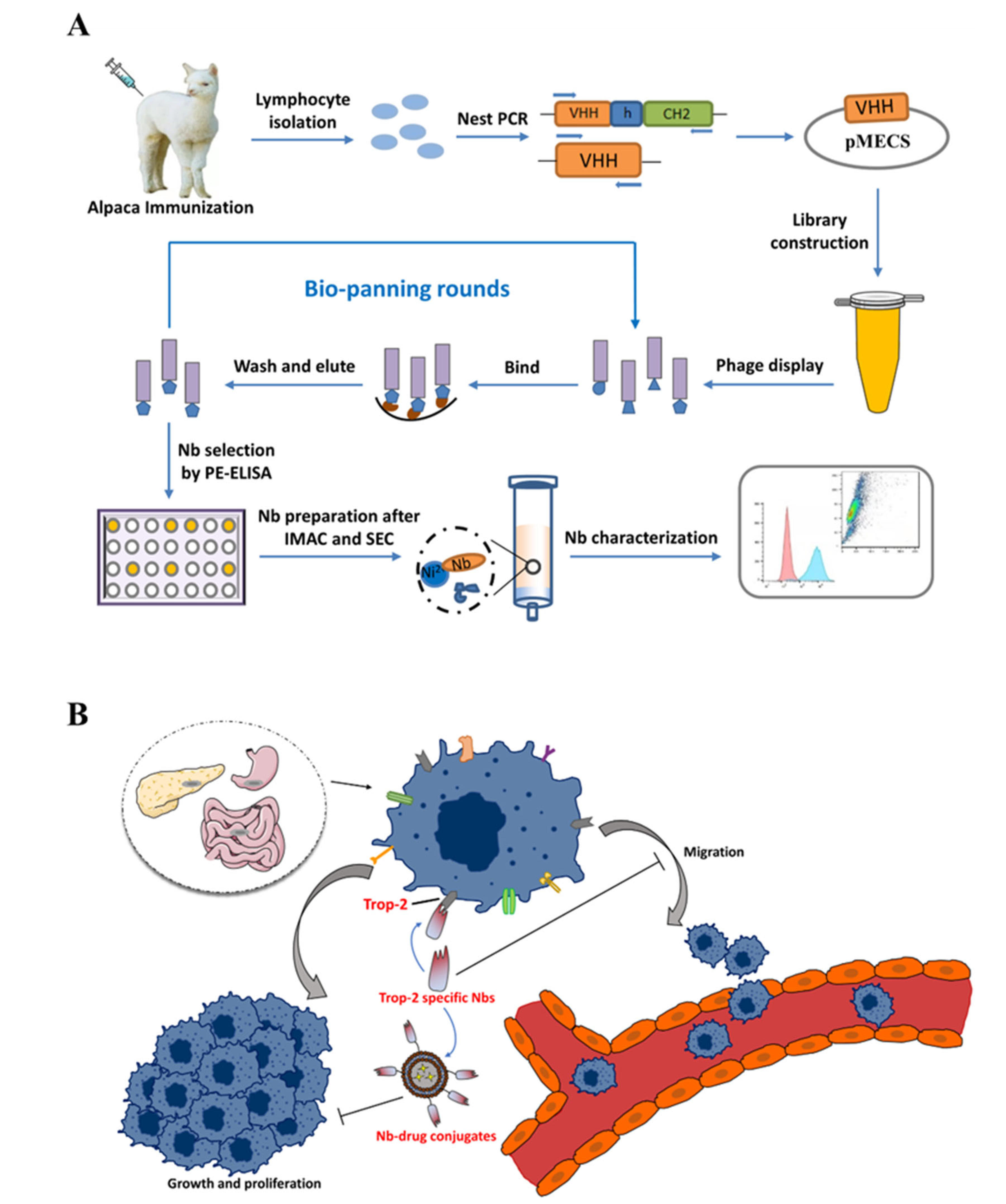 Ijms 23 07942 g001 550