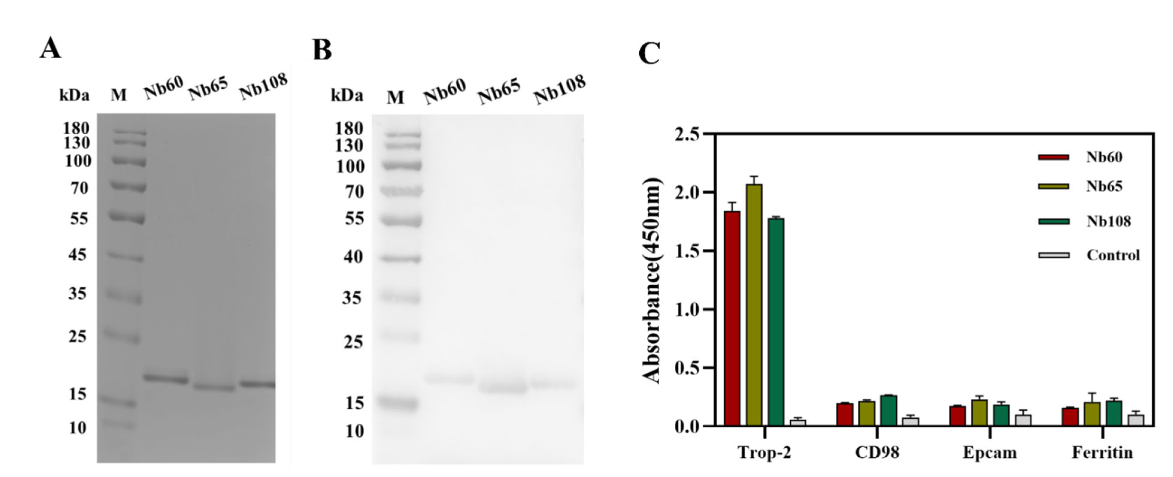 Ijms 23 07942 g002 550