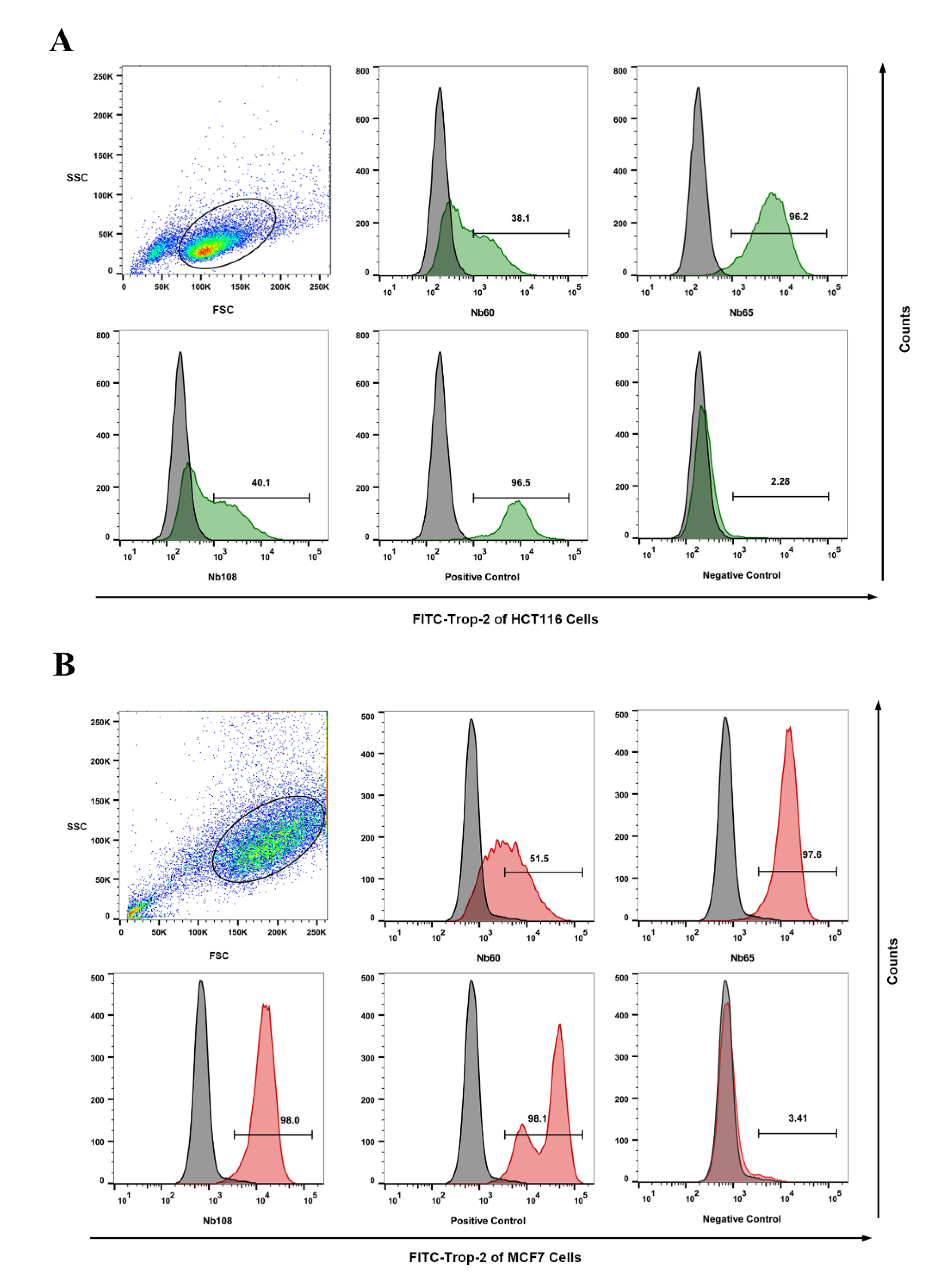 Ijms 23 07942 g003 550