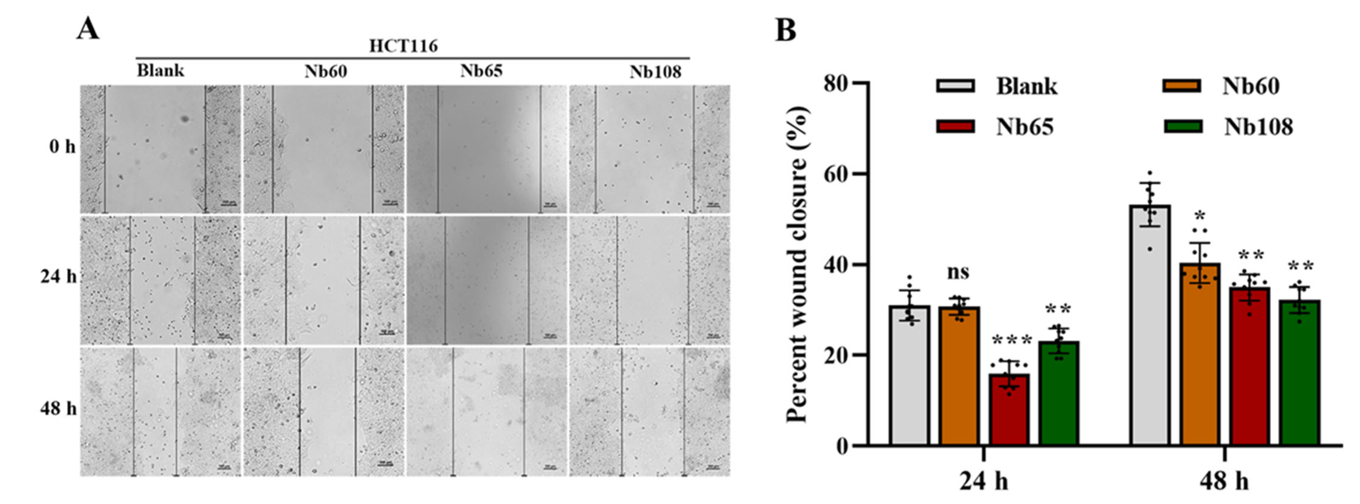 Ijms 23 07942 g005 550