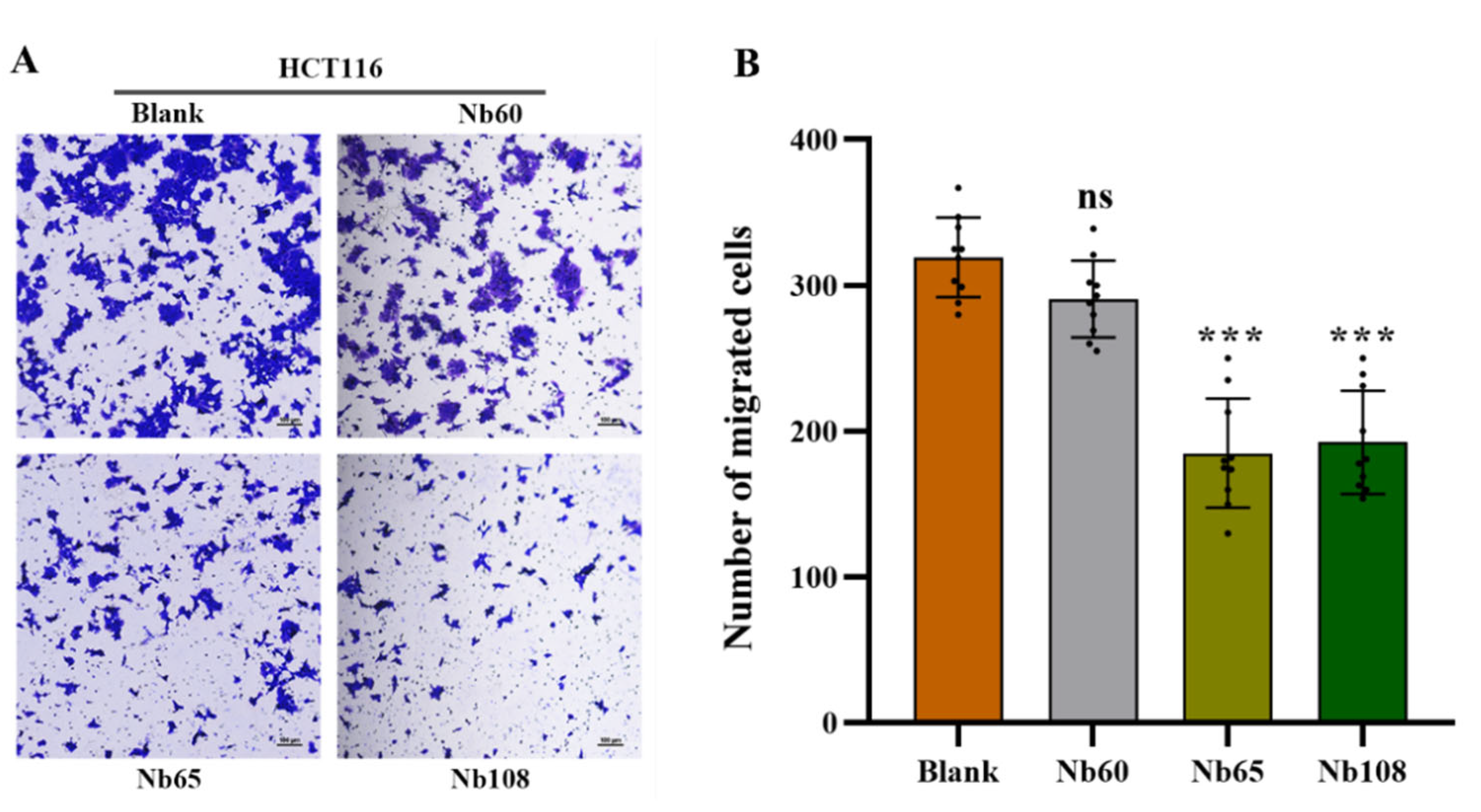 Ijms 23 07942 g006 550