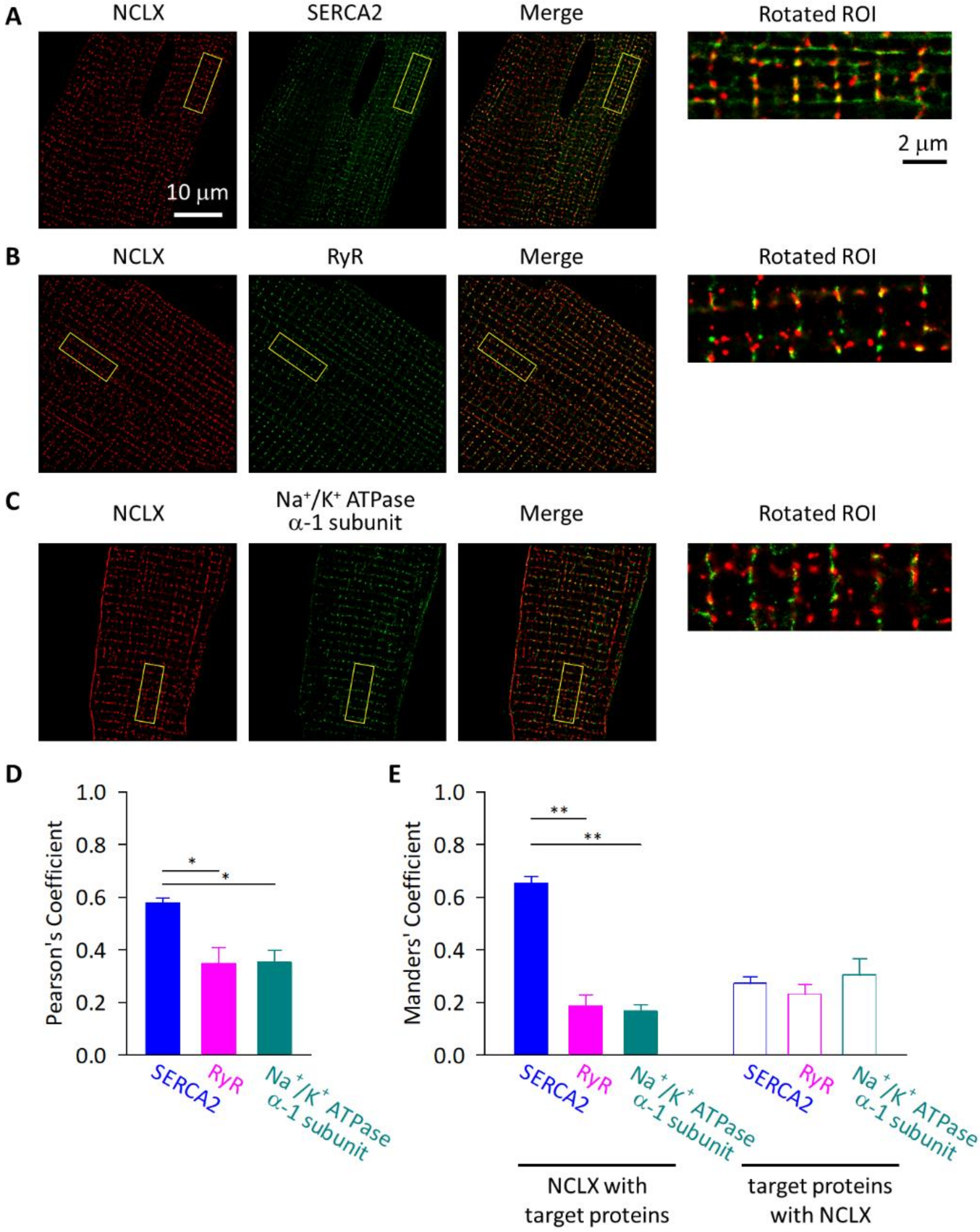 Ijms 23 07948 g006 550