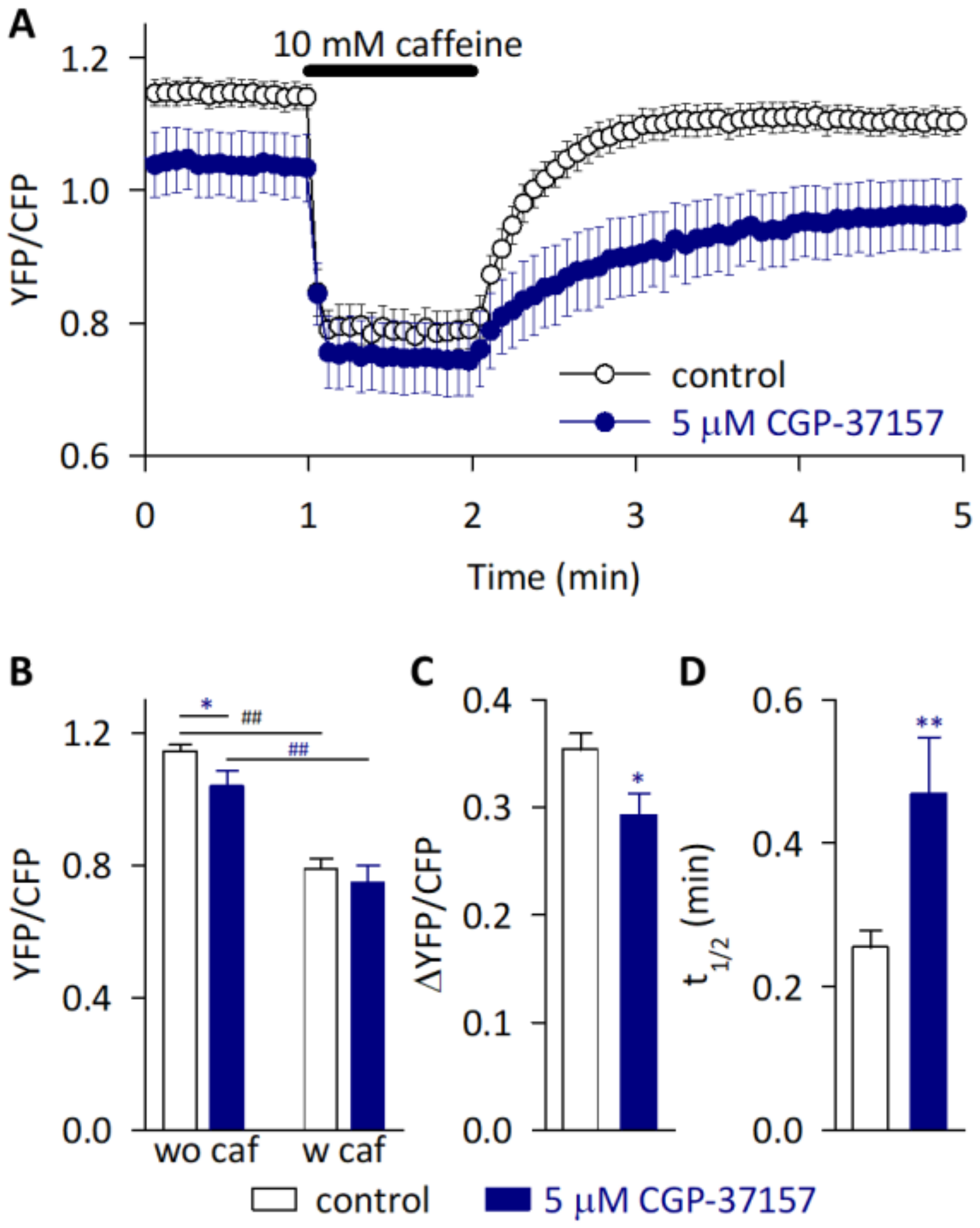 Ijms 23 07948 g007 550