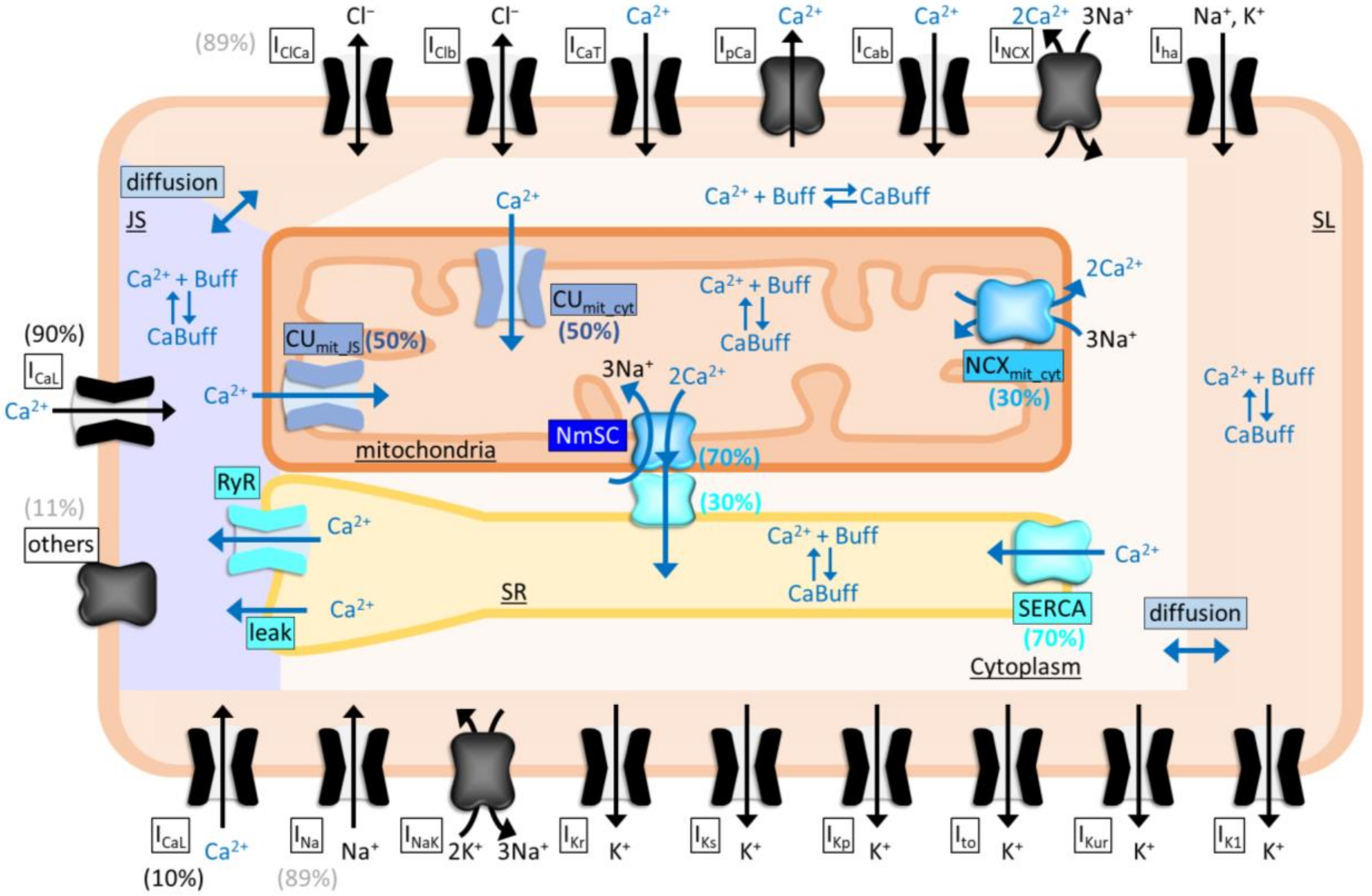 Ijms 23 07948 g008 550