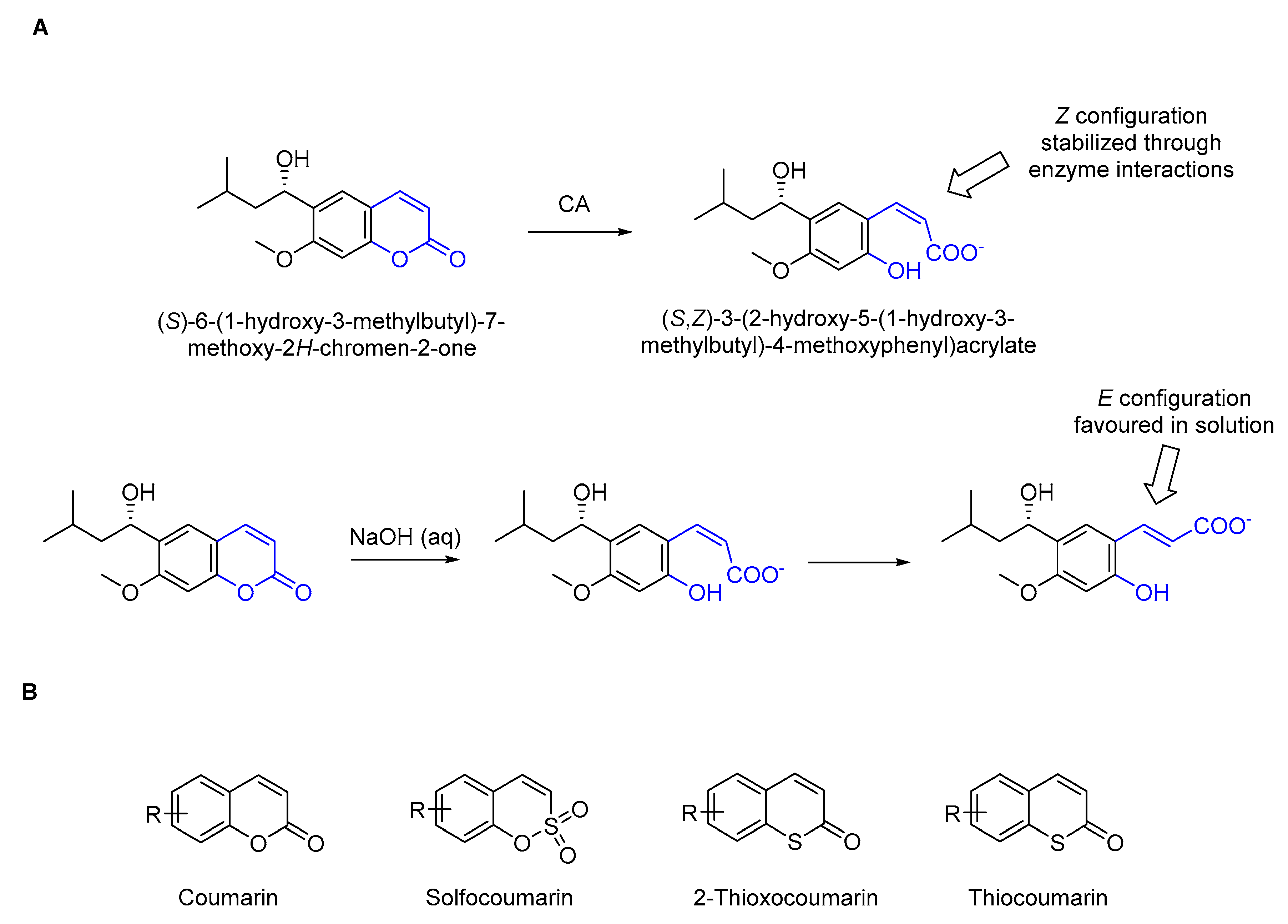 Ijms 23 07950 g001 550