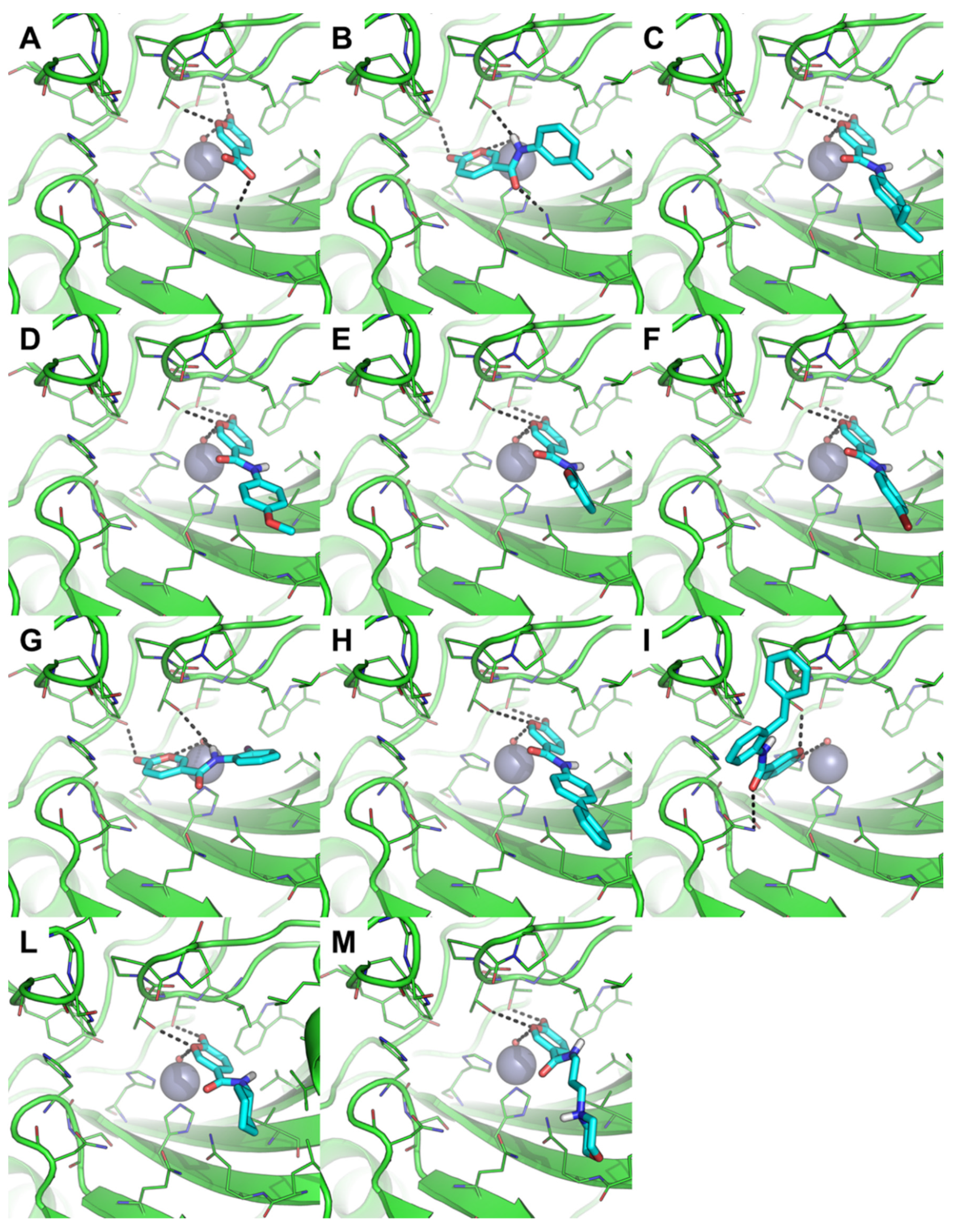 Ijms 23 07950 g007 550