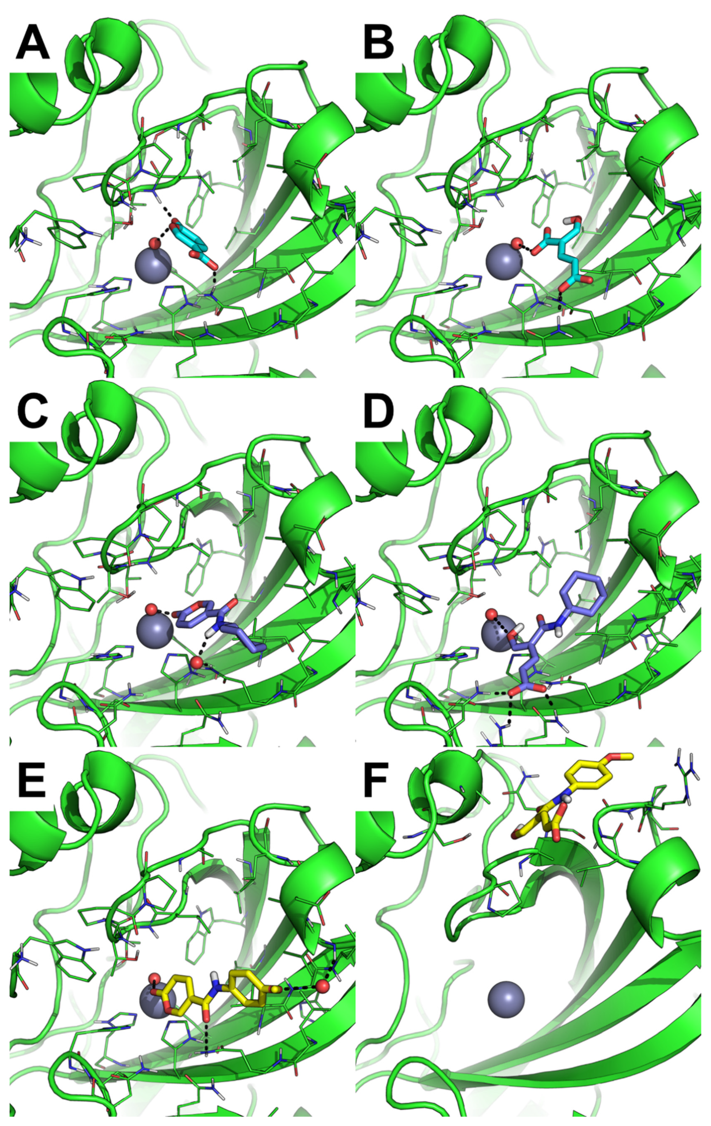 Ijms 23 07950 g009 550