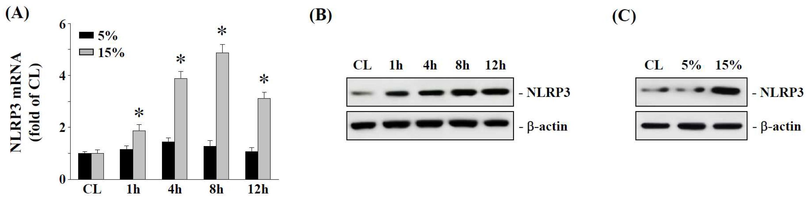 Ijms 23 07951 g001 Ijms 23 07951 g001