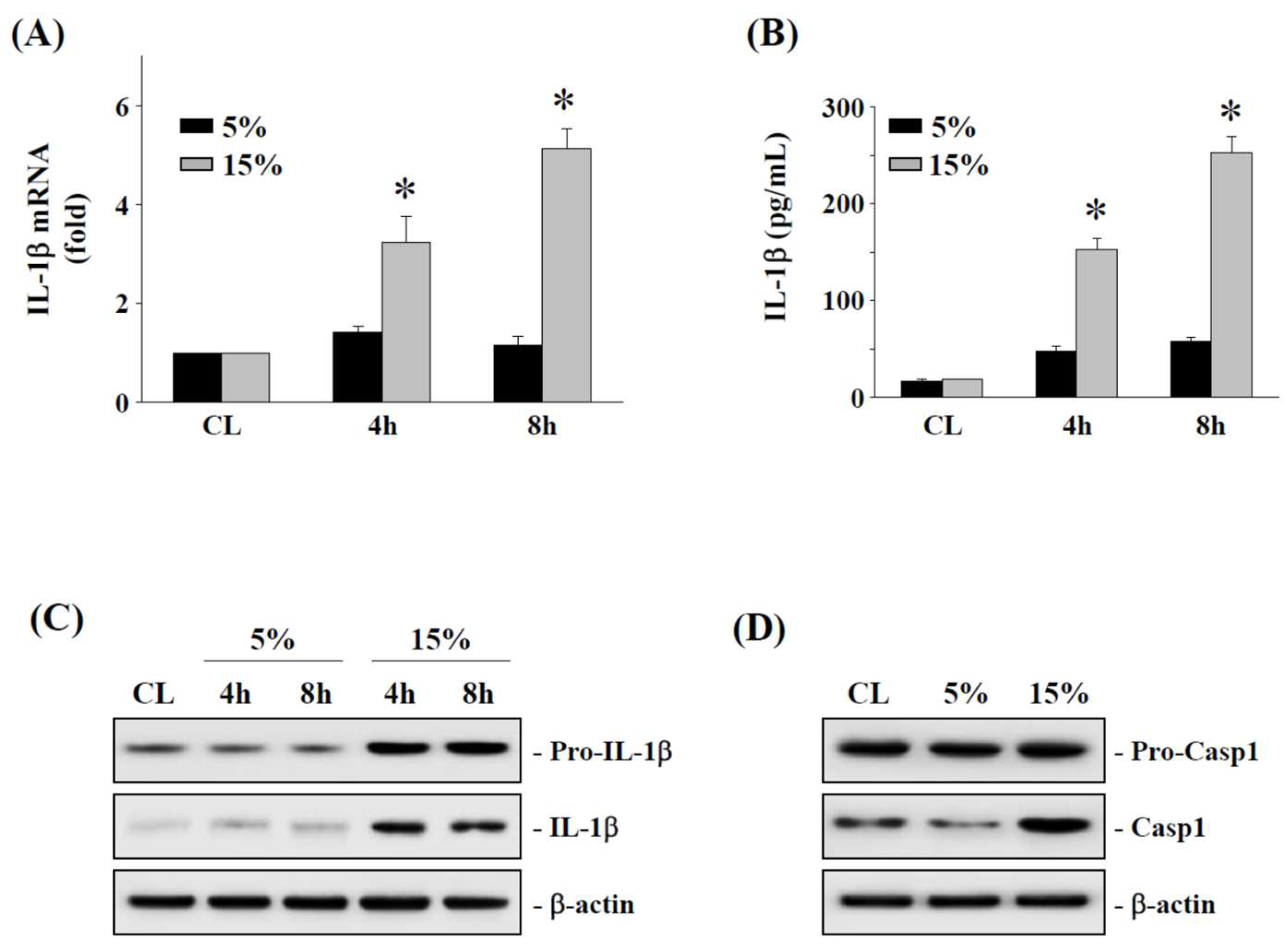 Ijms 23 07951 g002 Ijms 23 07951 g002