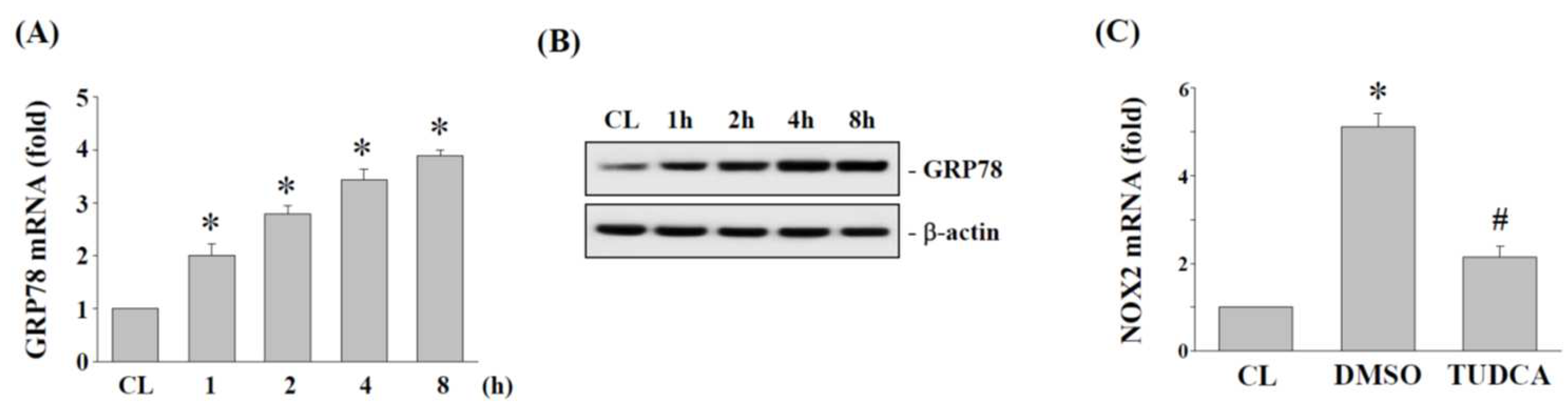 Ijms 23 07951 g004 Ijms 23 07951 g004