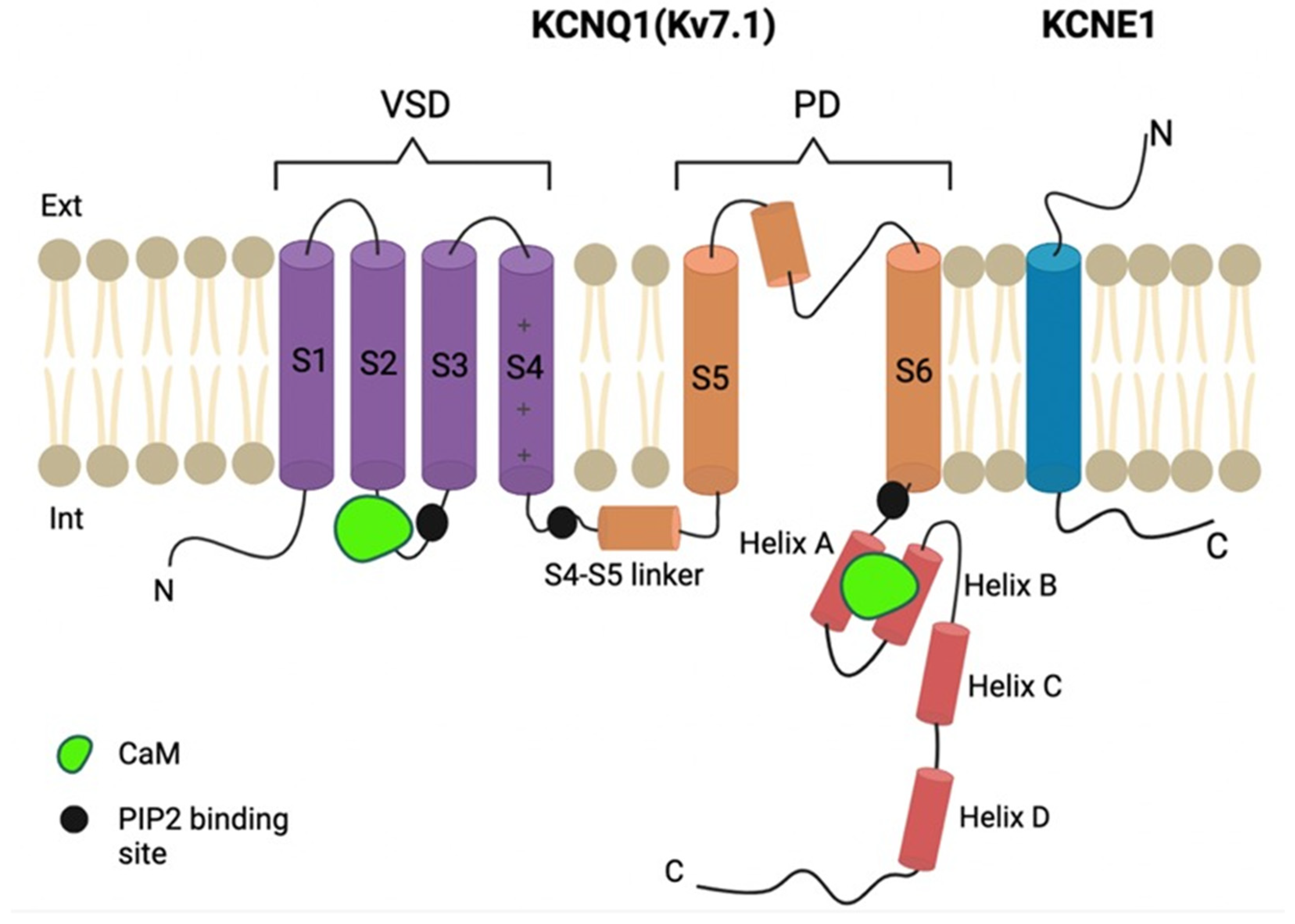 Ijms 23 07953 g001 550