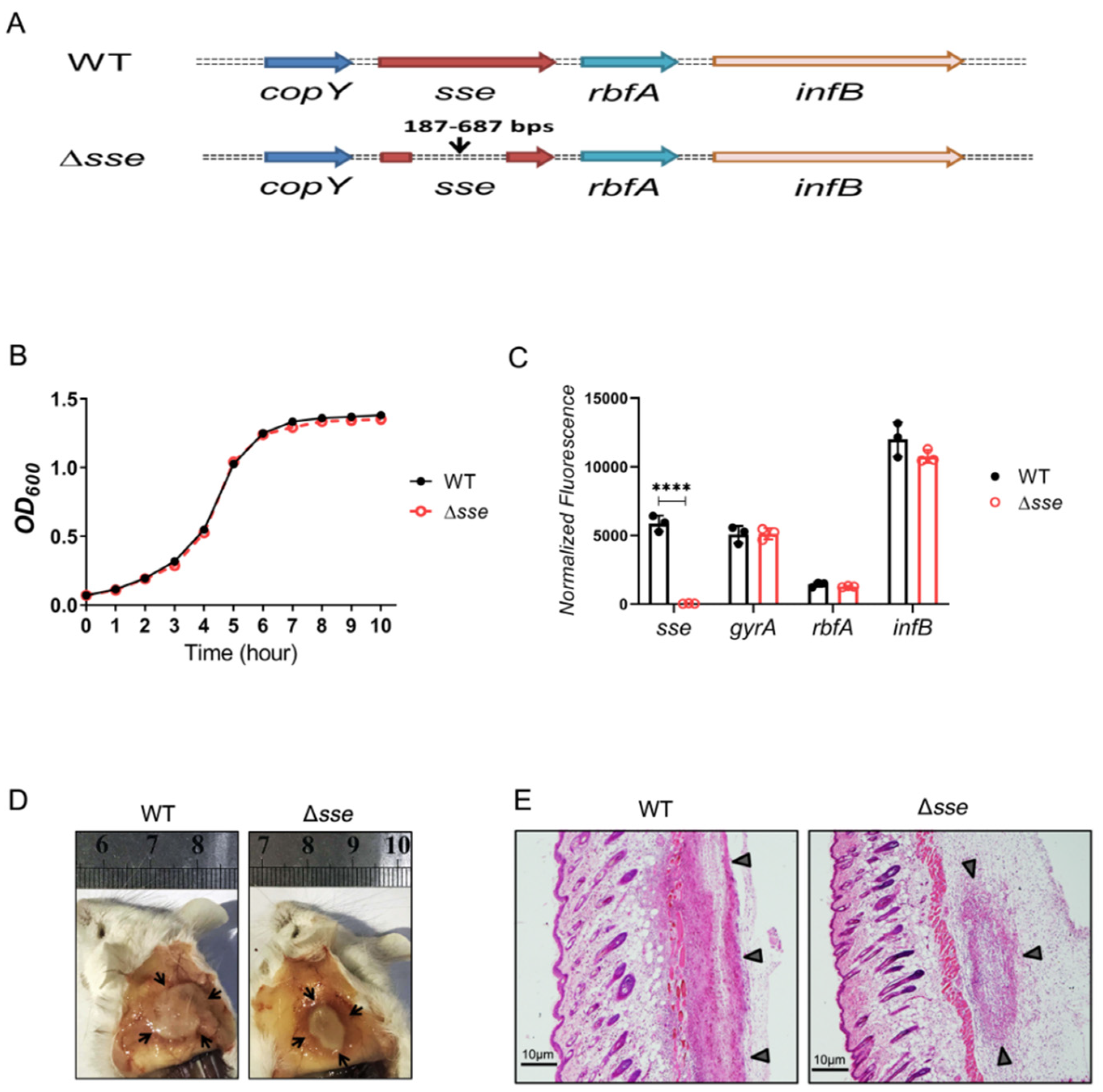 Ijms 23 07954 g001 Ijms 23 07954 g001
