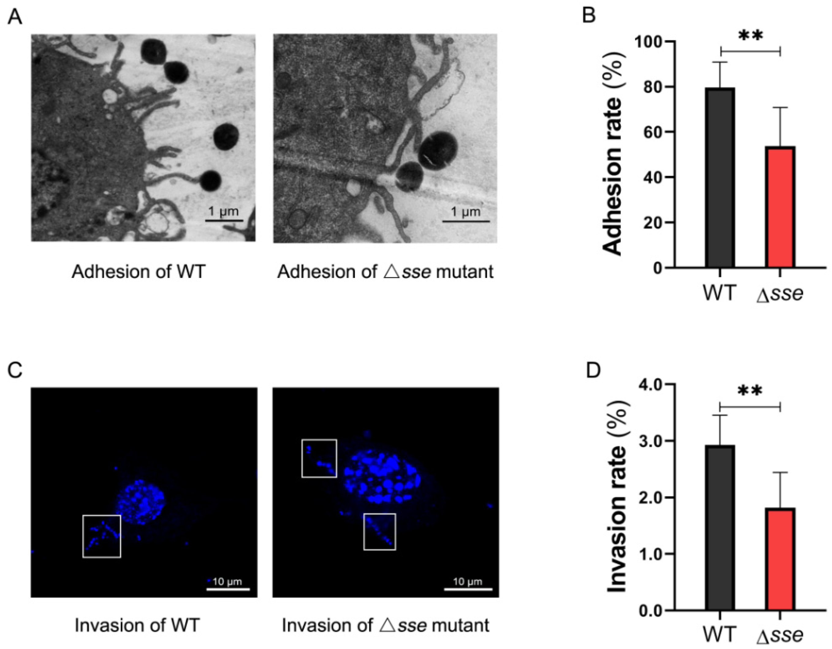 Ijms 23 07954 g002 Ijms 23 07954 g002