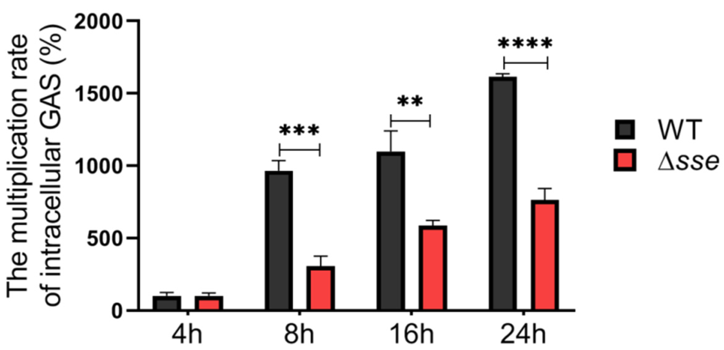 Ijms 23 07954 g003 Ijms 23 07954 g003