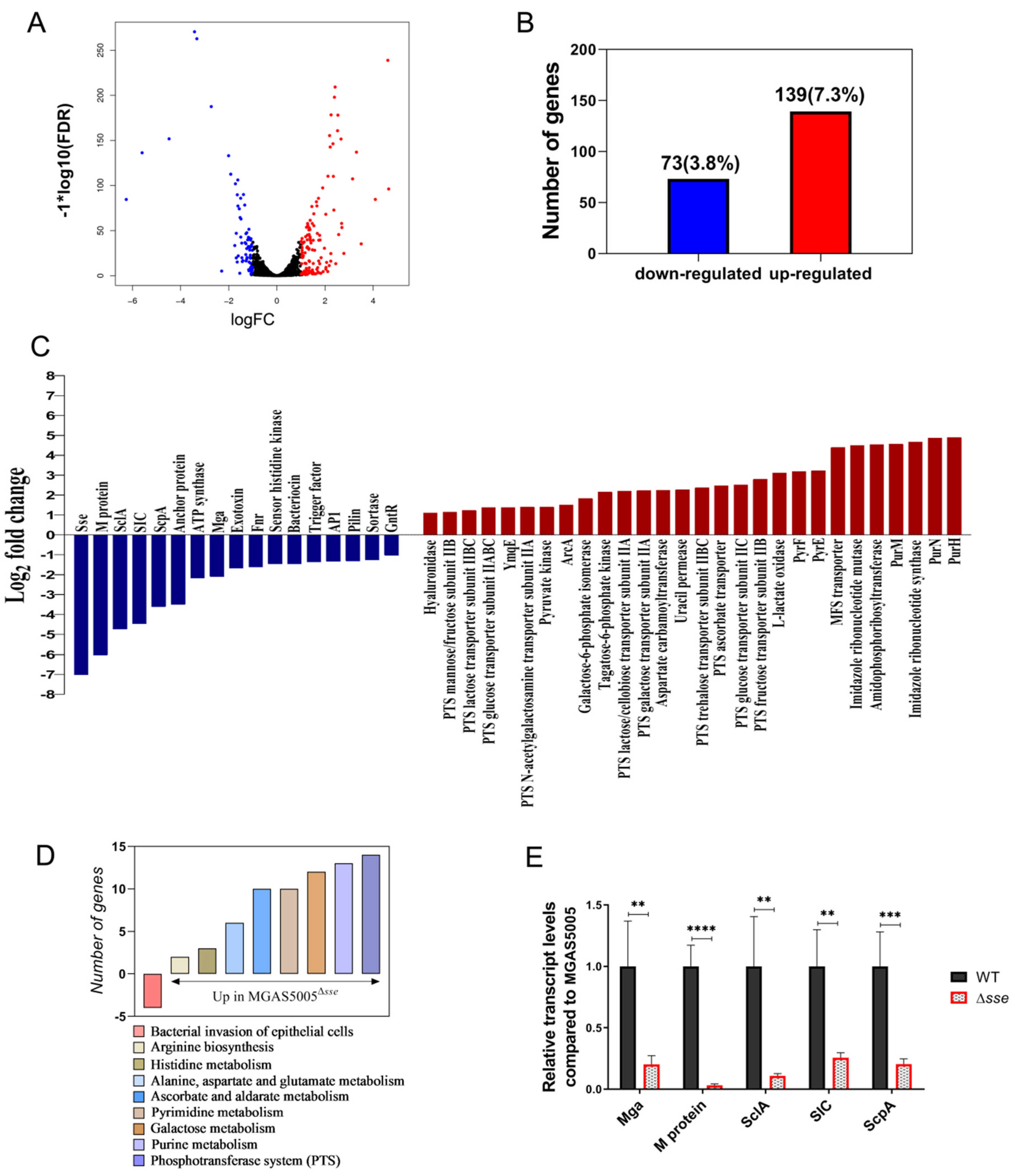Ijms 23 07954 g005 Ijms 23 07954 g005