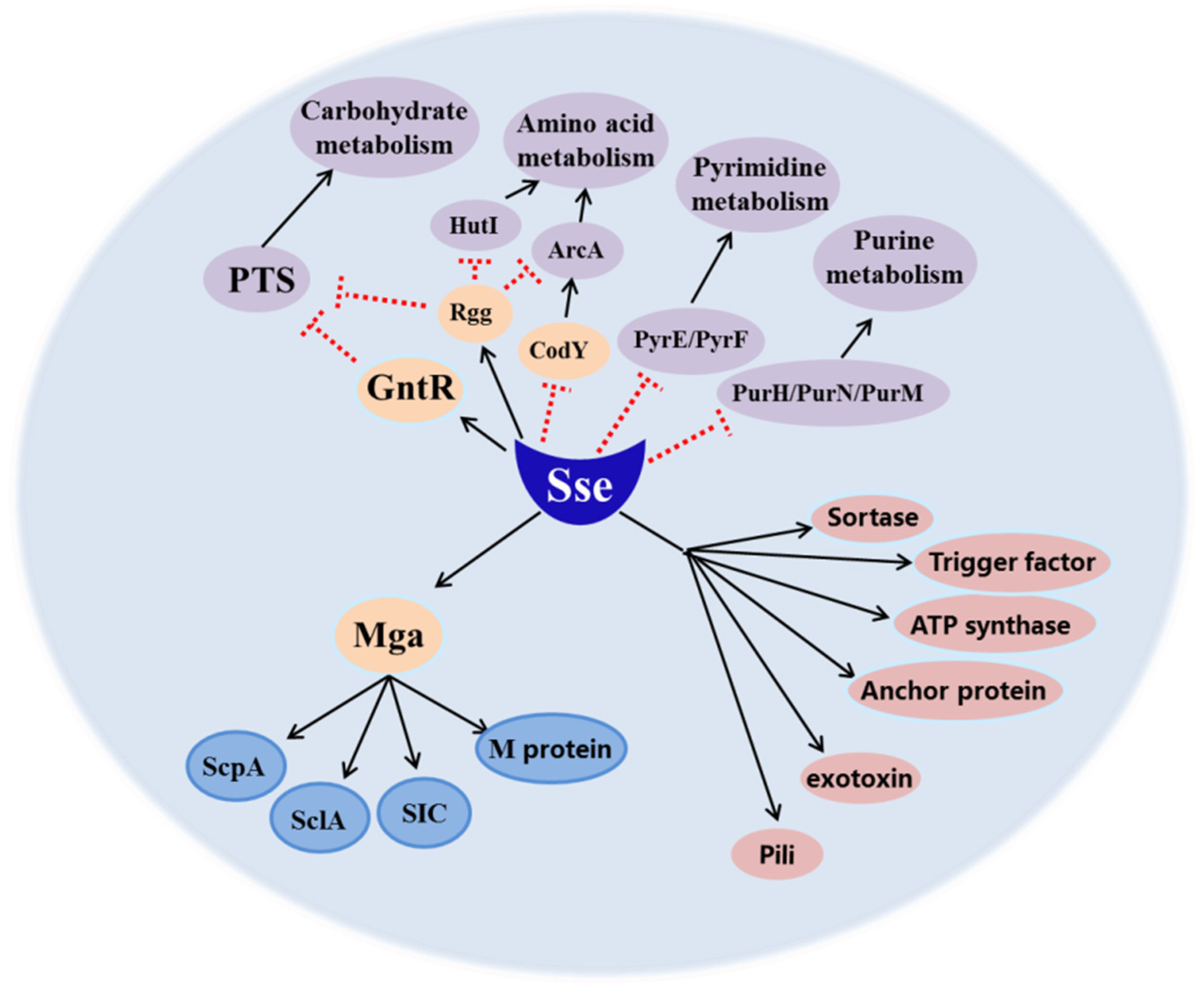Ijms 23 07954 g006 Ijms 23 07954 g006