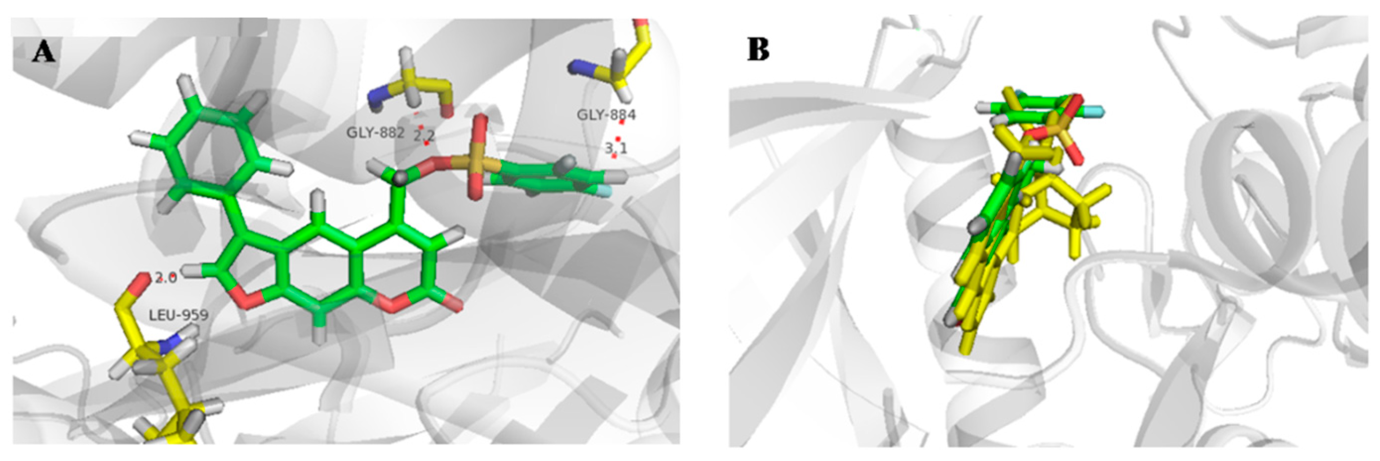 Ijms 23 07959 g005 550