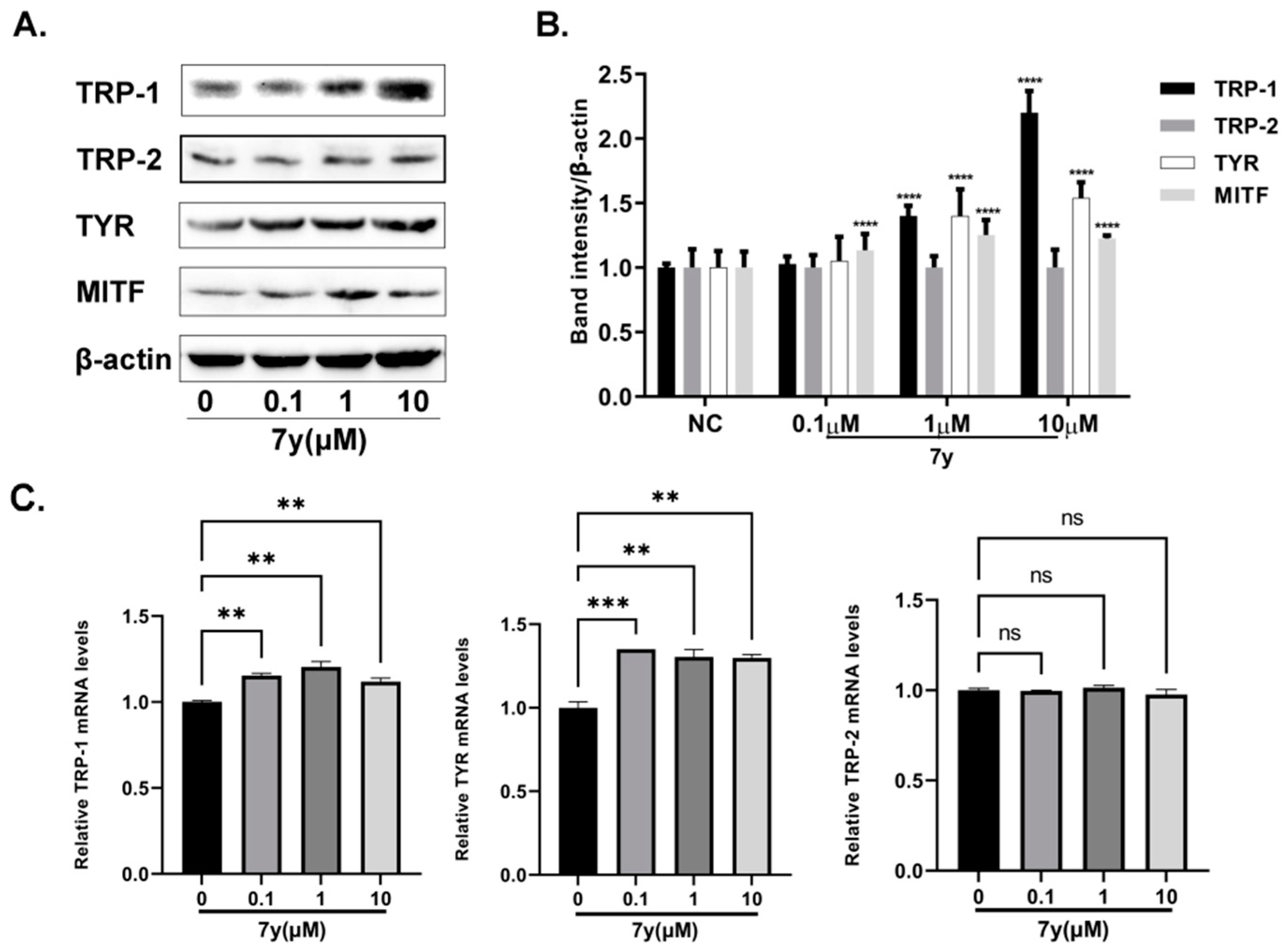 Ijms 23 07959 g009 550