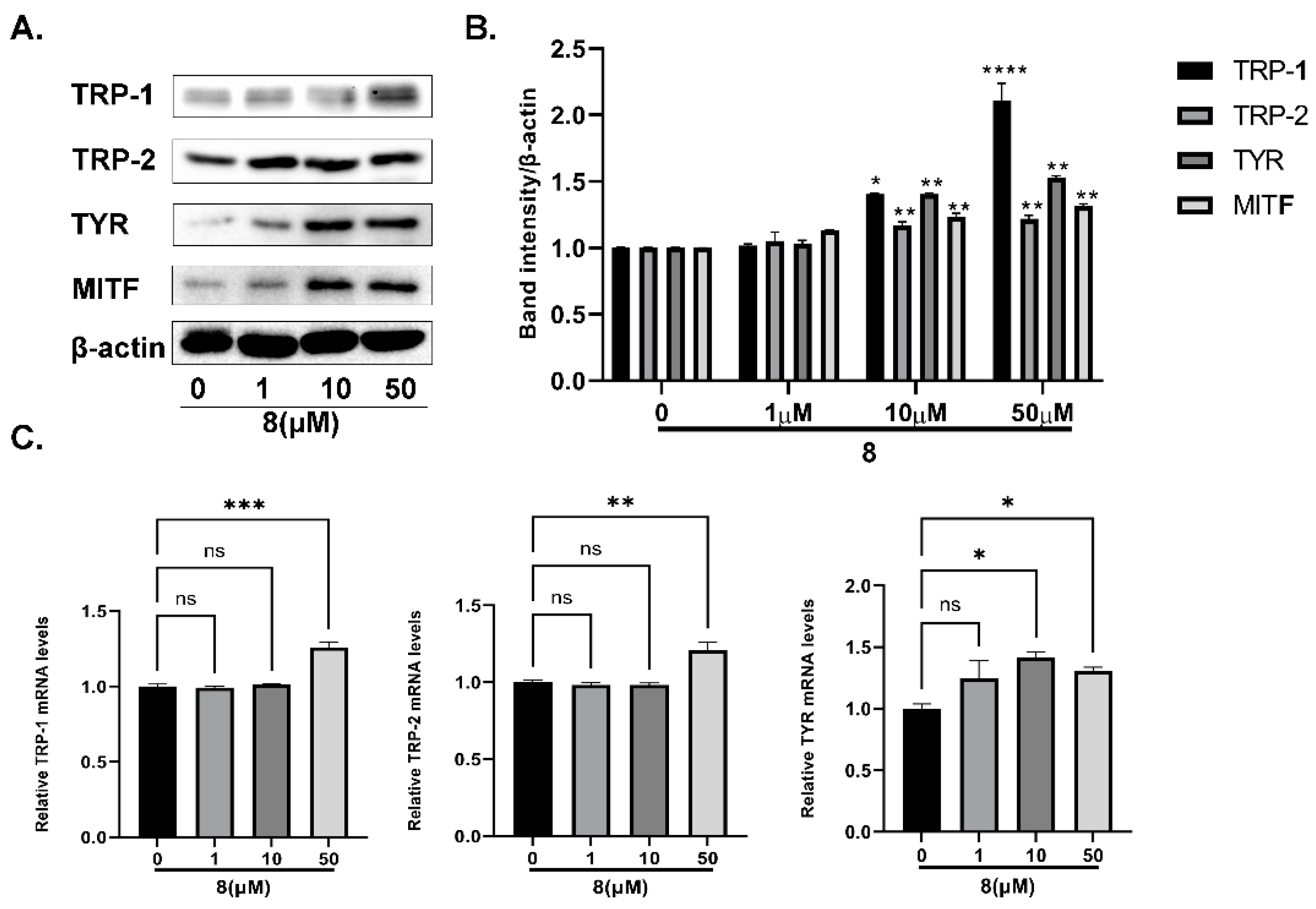 Ijms 23 07959 g012 550