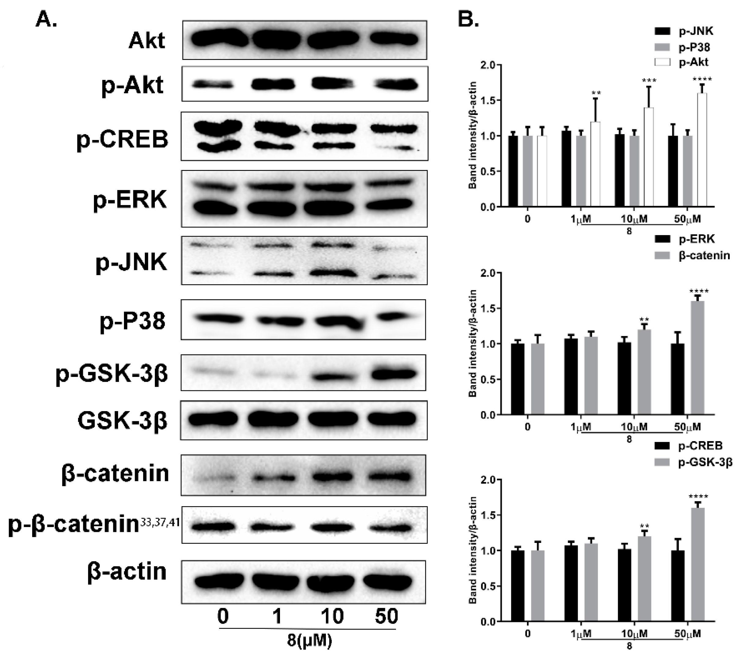 Ijms 23 07959 g013 550