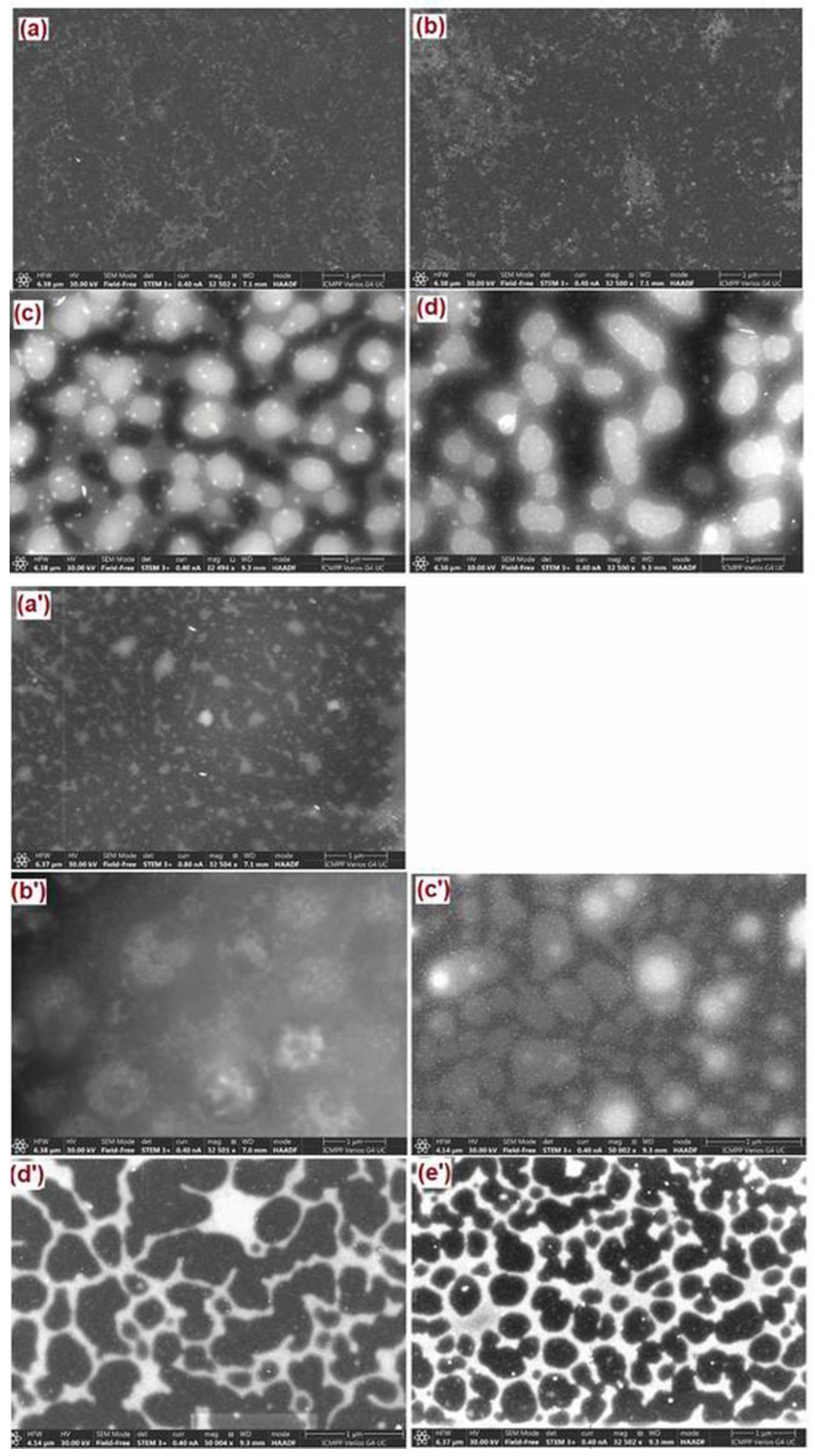 Ijms 23 07961 g006 550