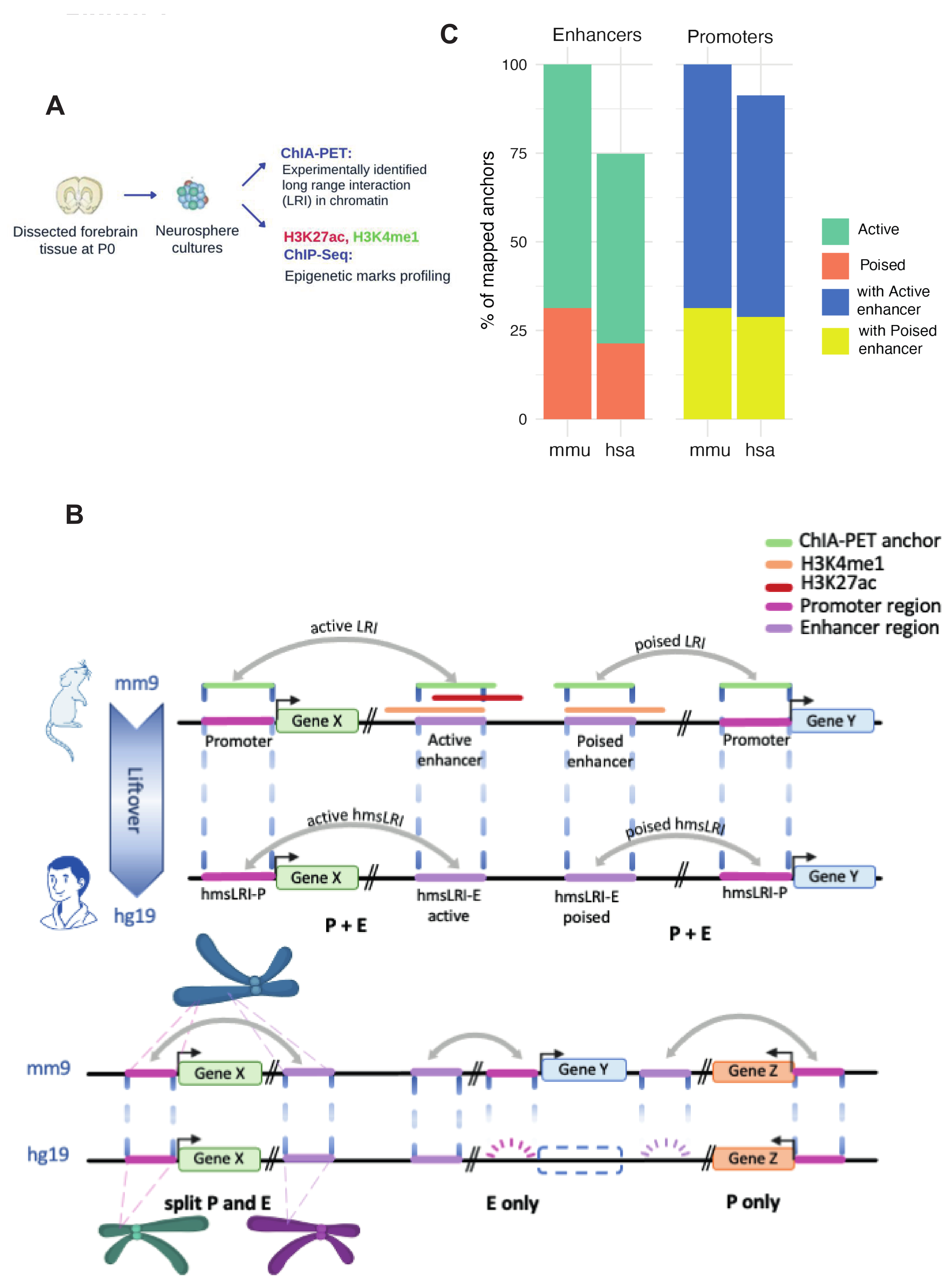 Ijms 23 07964 g001 550