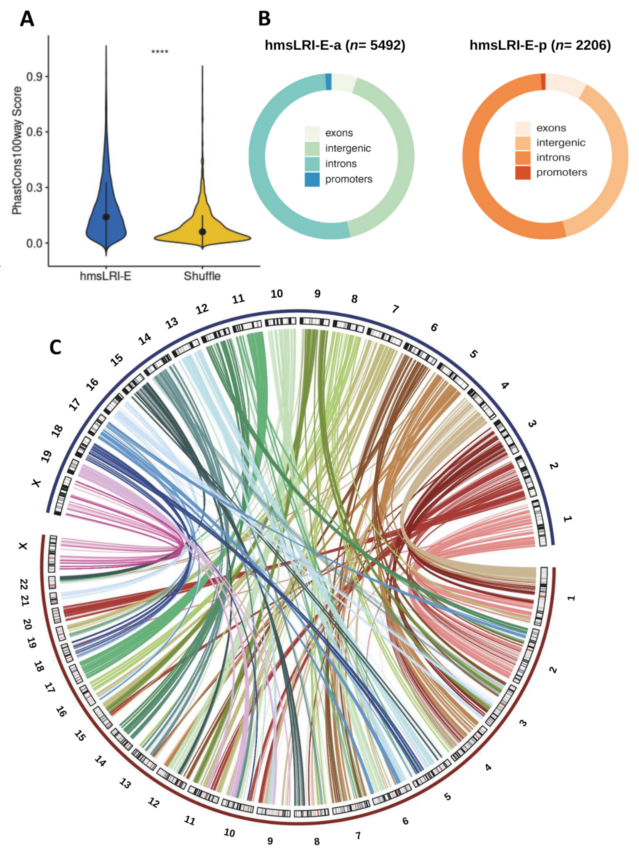 Ijms 23 07964 g002 550