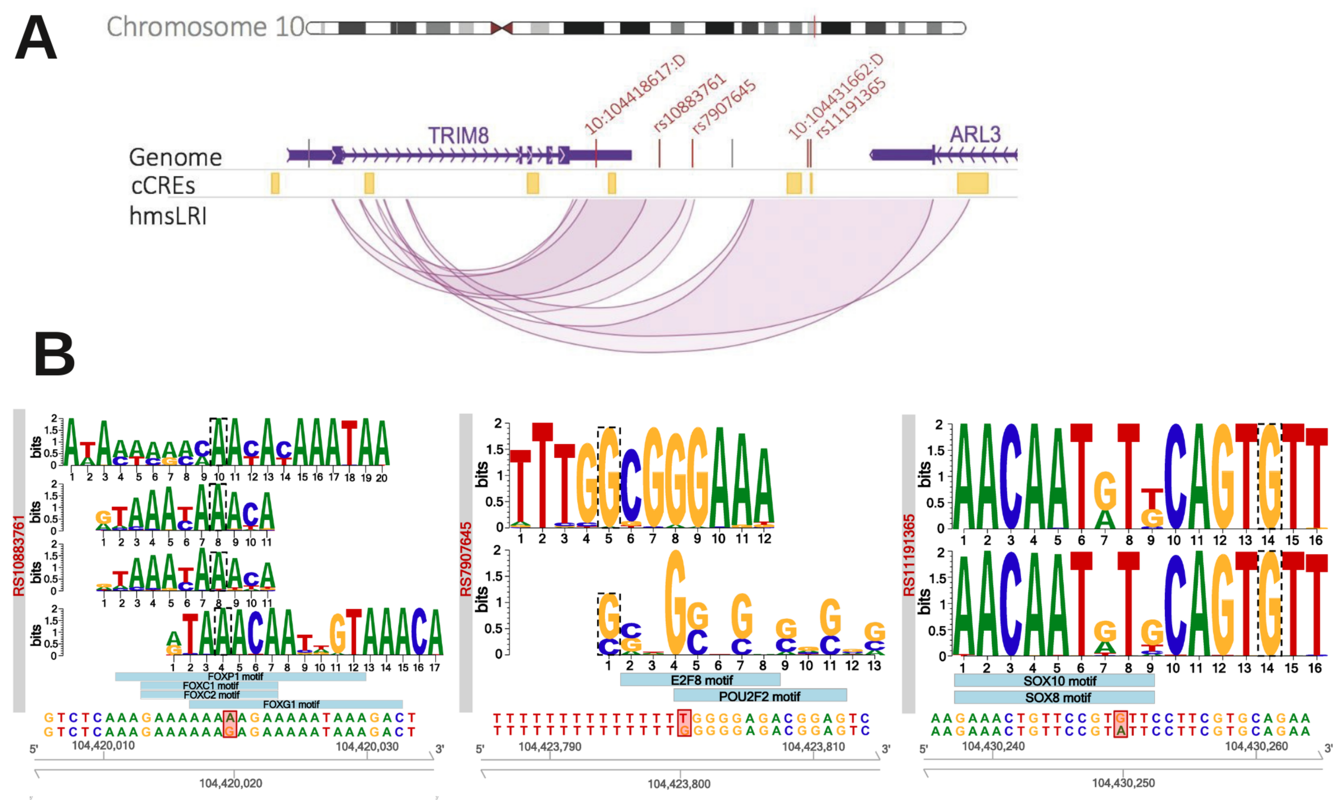 Ijms 23 07964 g005 550