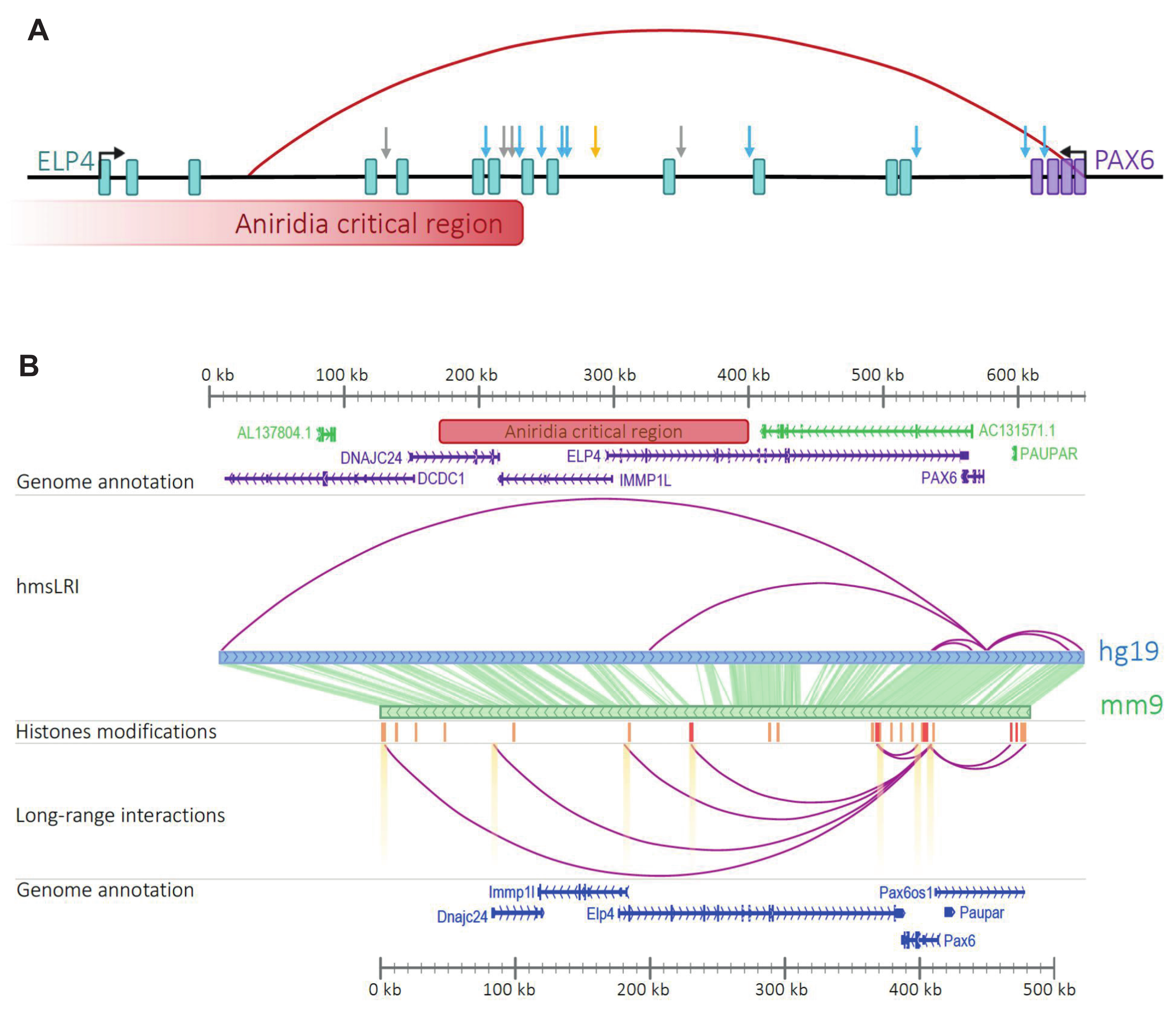 Ijms 23 07964 g007 550