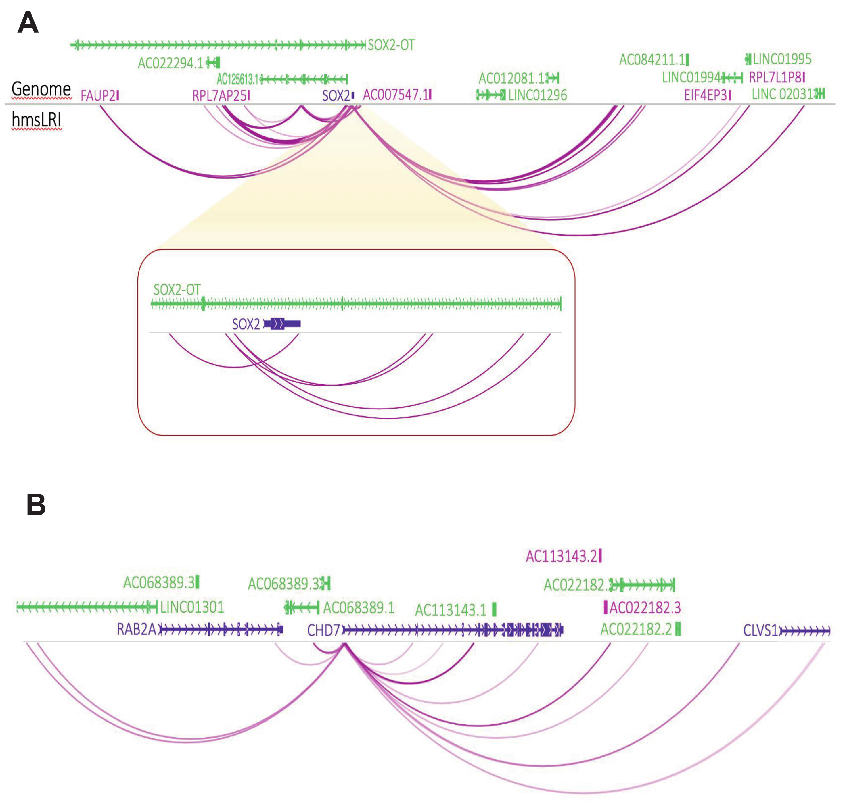 Ijms 23 07964 g008 550