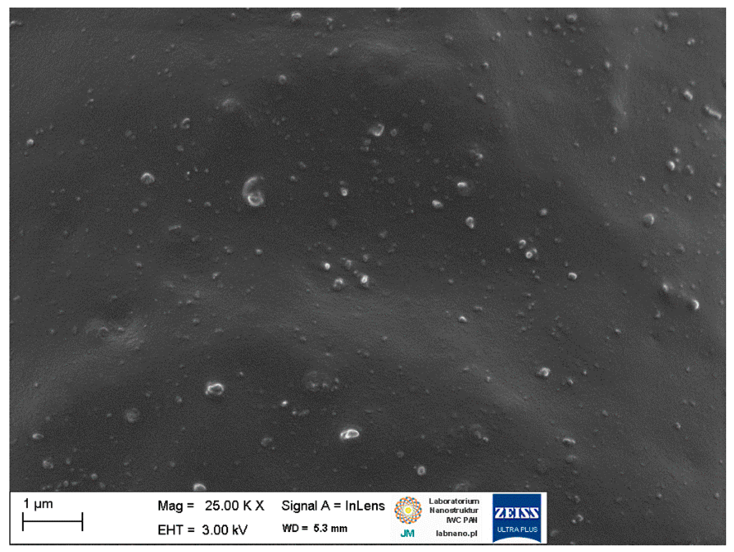 Ijms 23 07968 g004 550