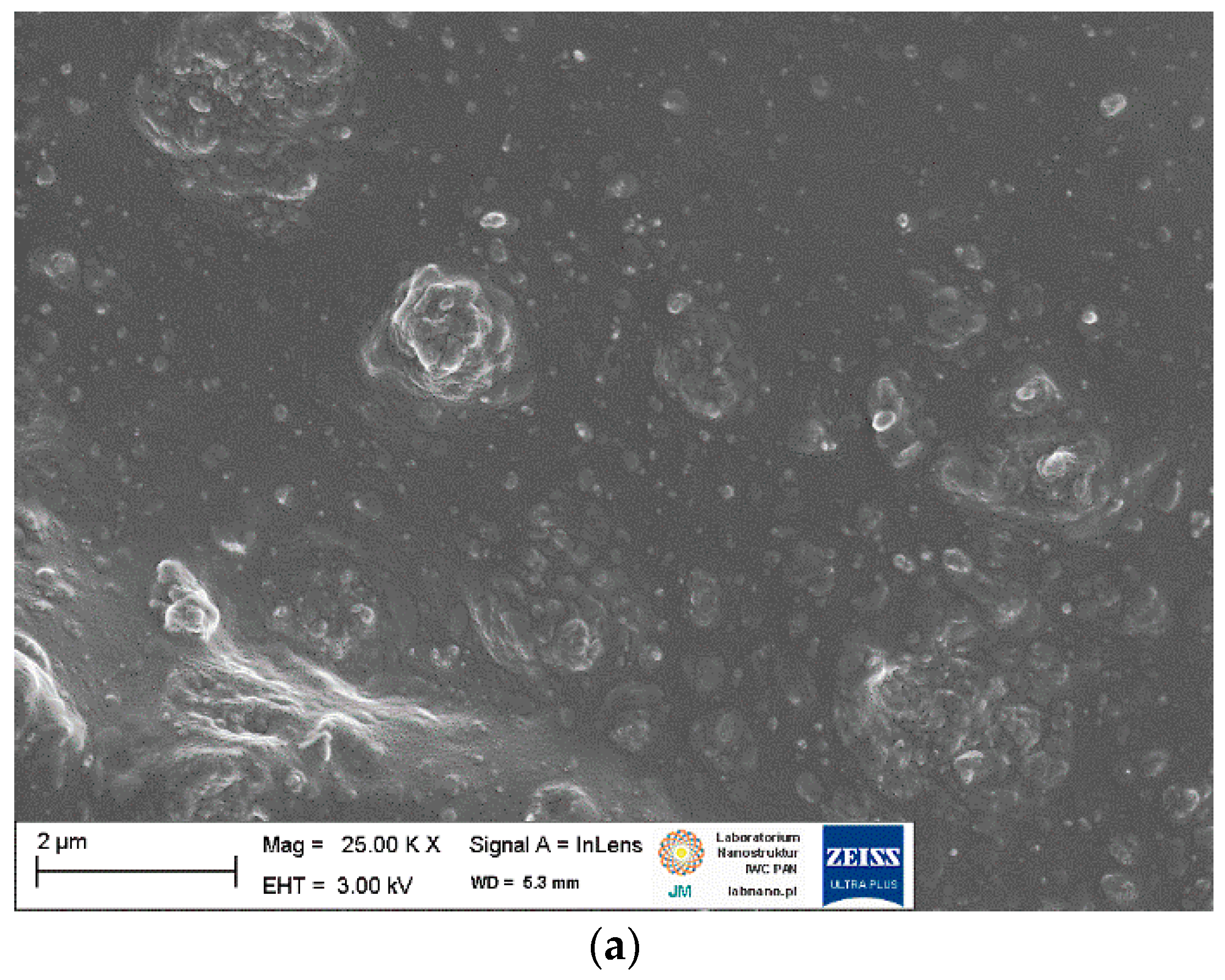 Ijms 23 07968 g005a 550