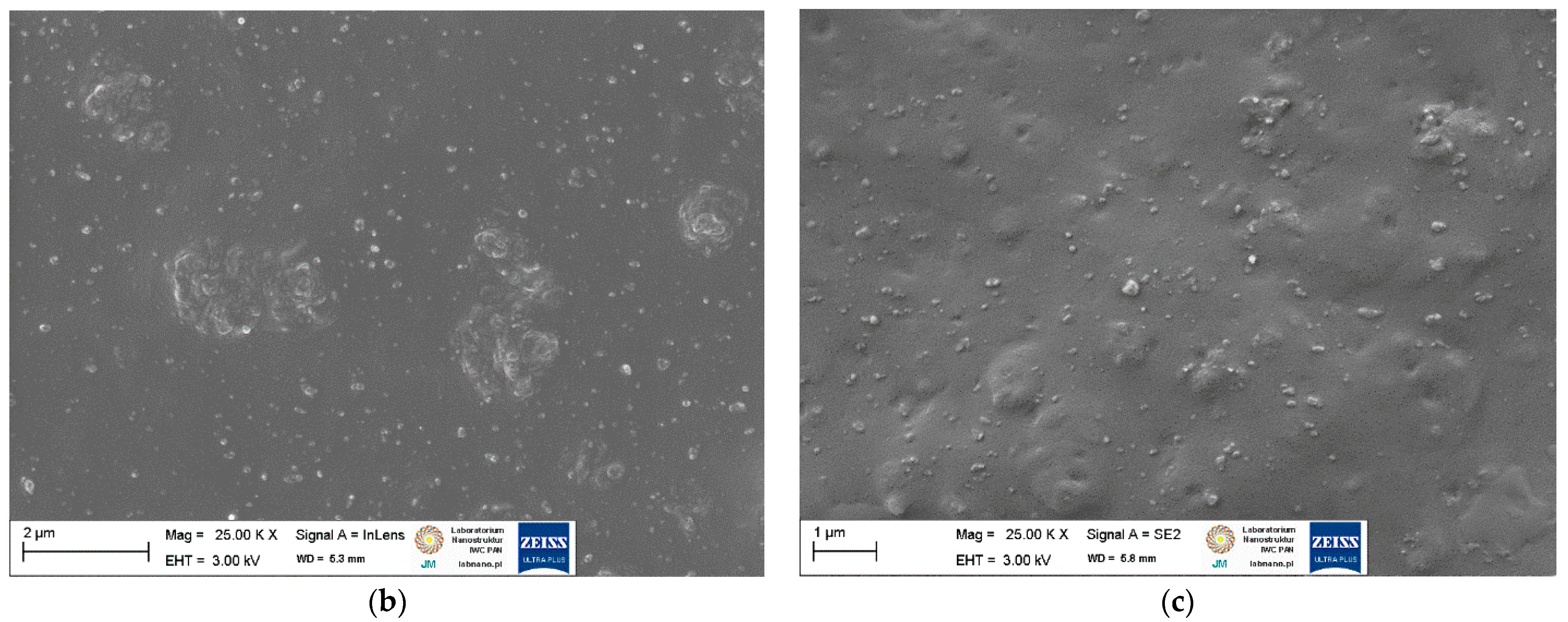 Ijms 23 07968 g005b 550