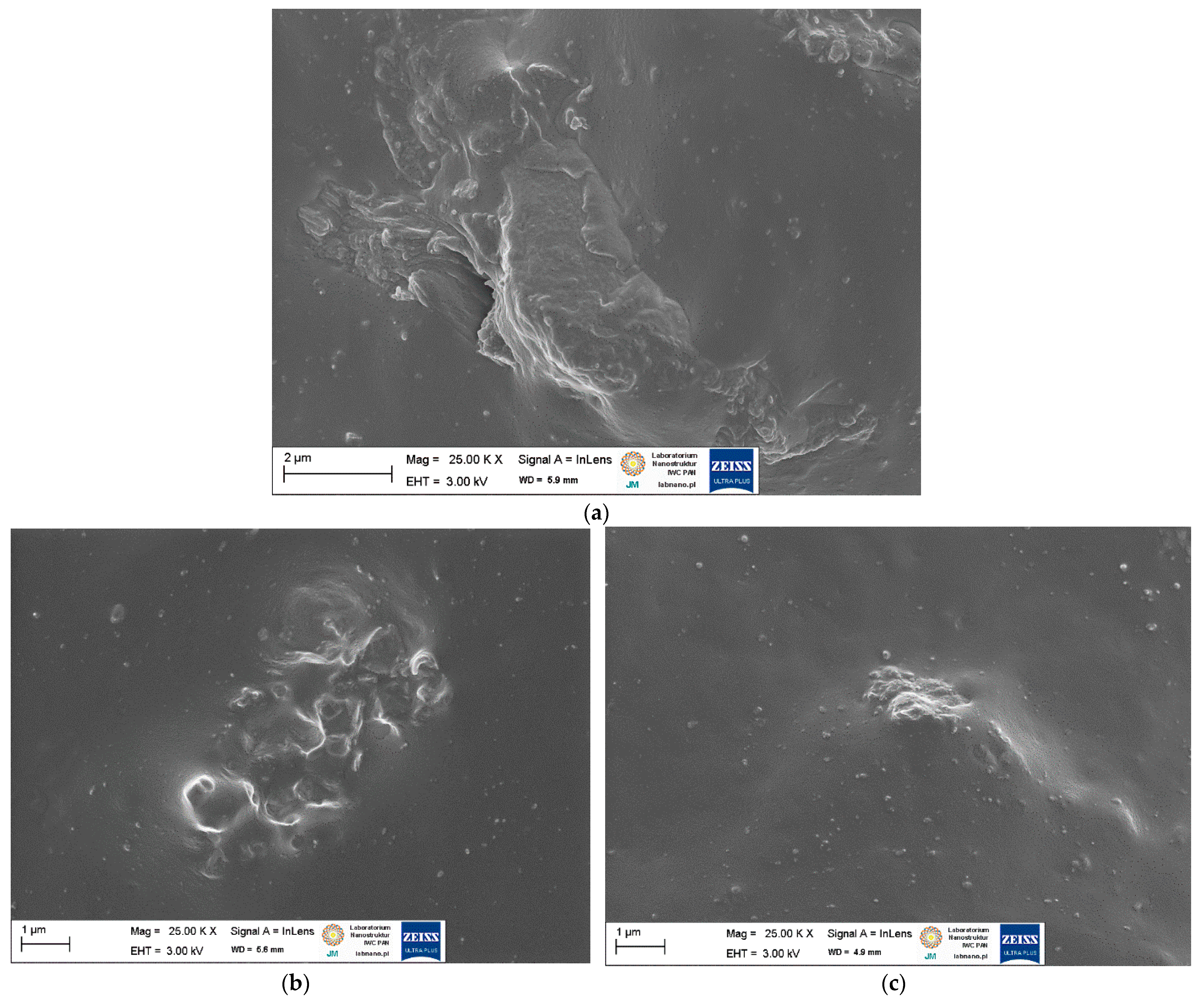 Ijms 23 07968 g006 550