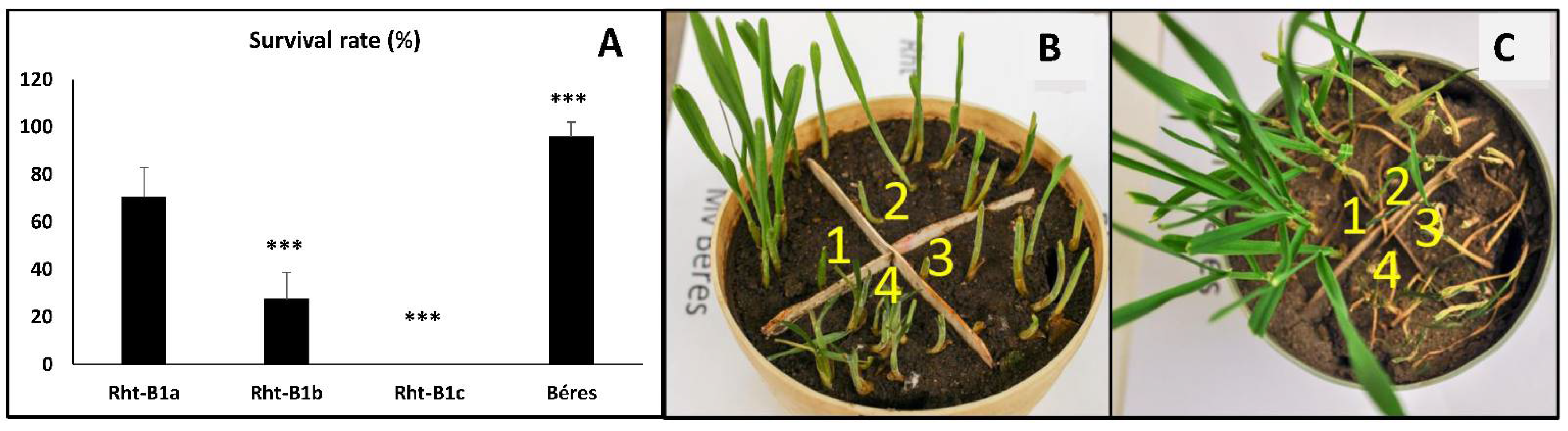 Ijms 23 07969 g001 550