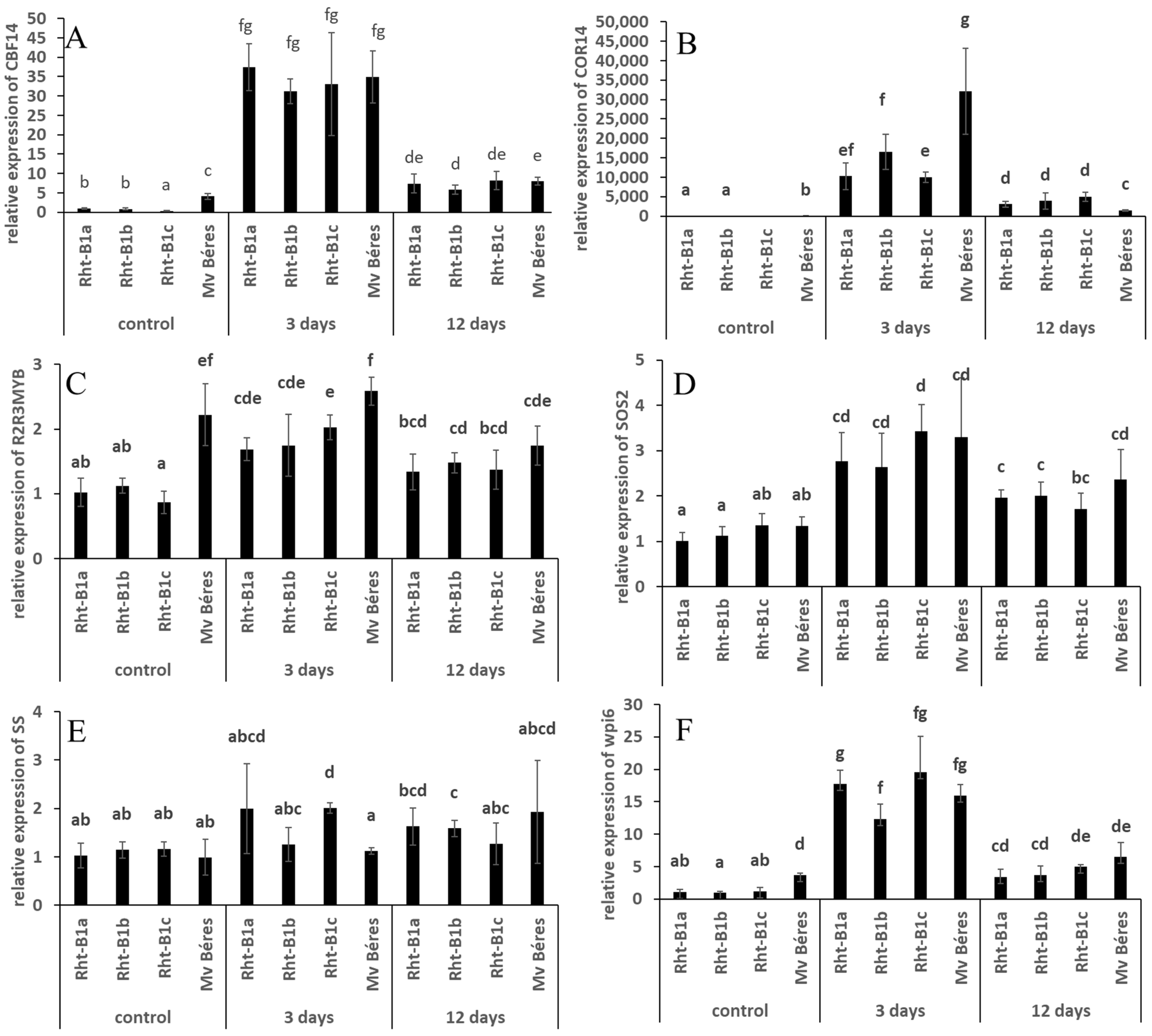 Ijms 23 07969 g002 550