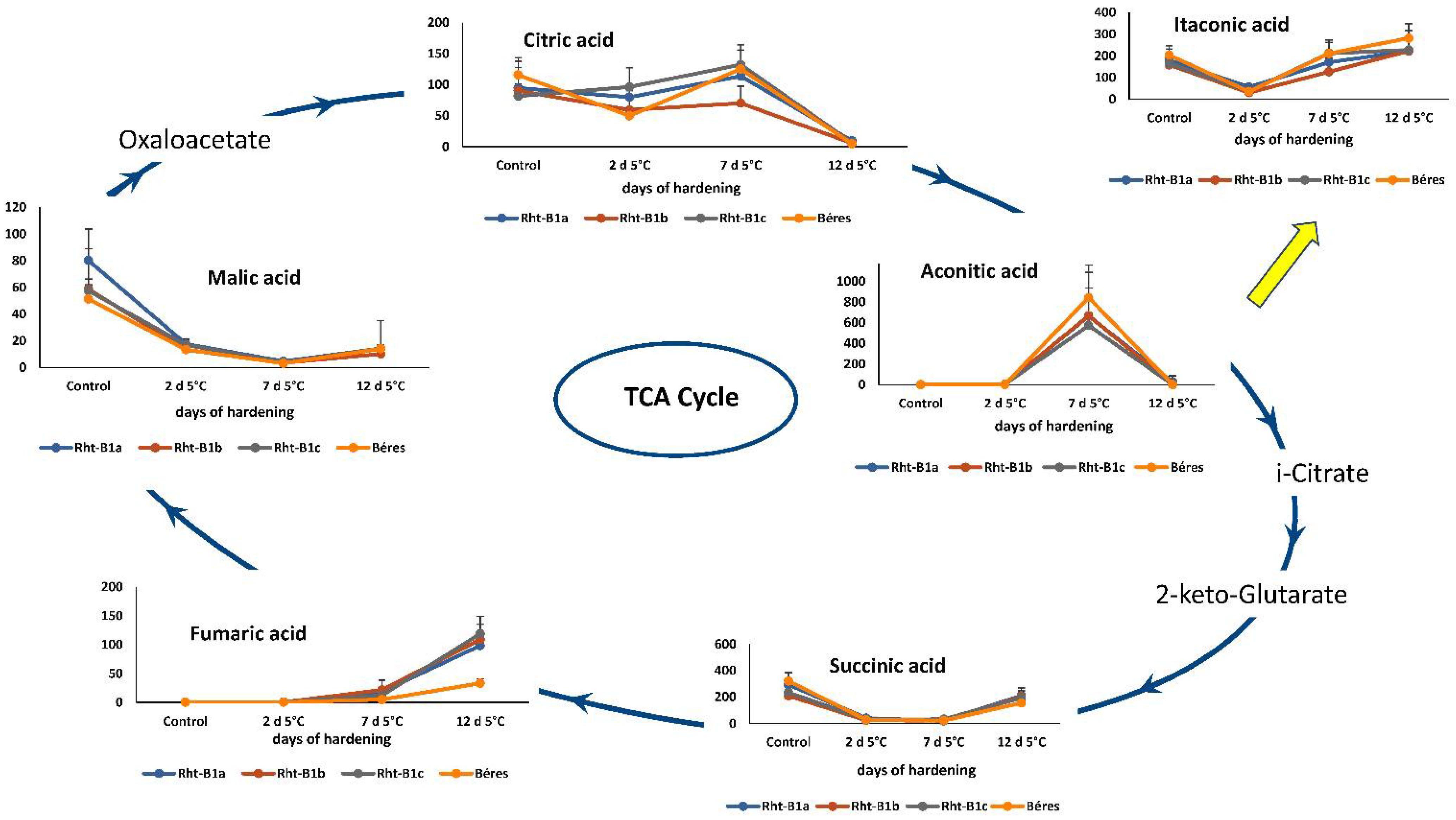 Ijms 23 07969 g007 550