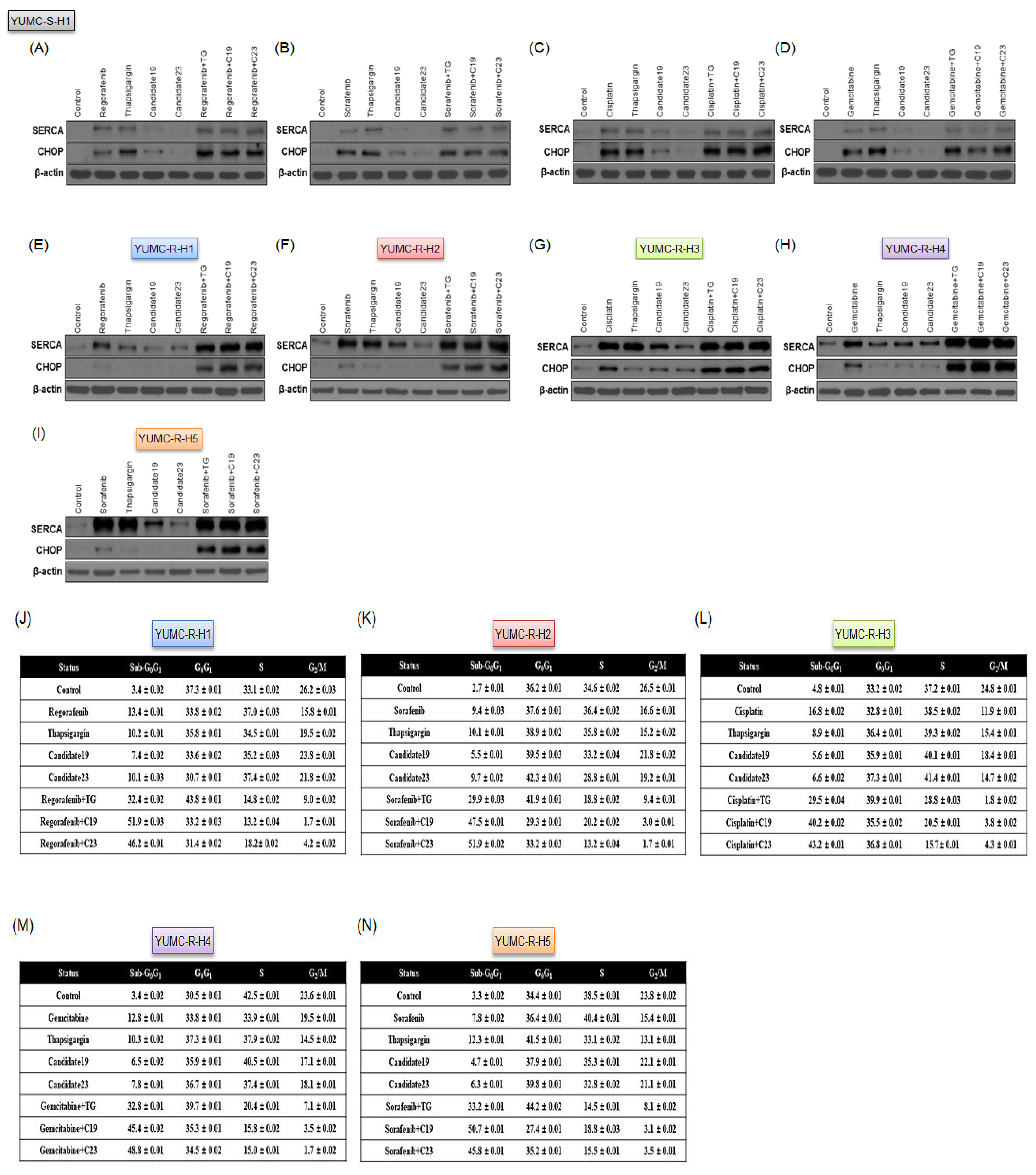 Ijms 23 07971 g005a Ijms 23 07971 g005a