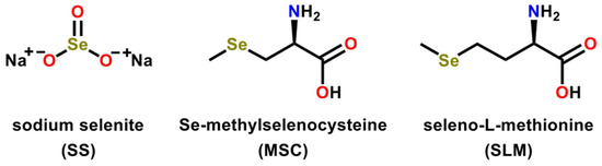 Therapeutic Benefits of Selenium in Hematological Malignancies